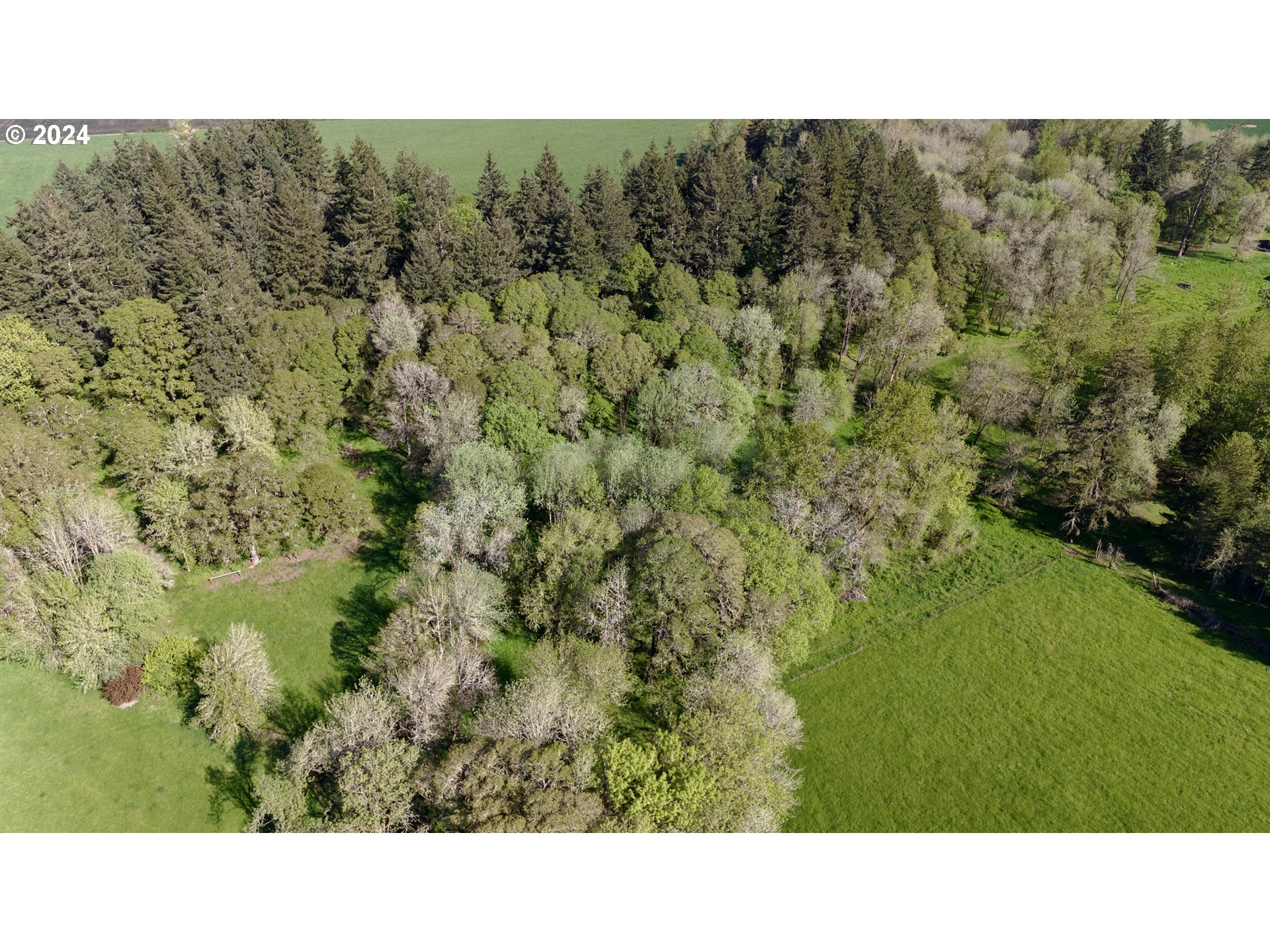 3198 Salamander Road Southeast Jefferson, OR 97352 - Photo 43 of 46 Gallery Image 43
