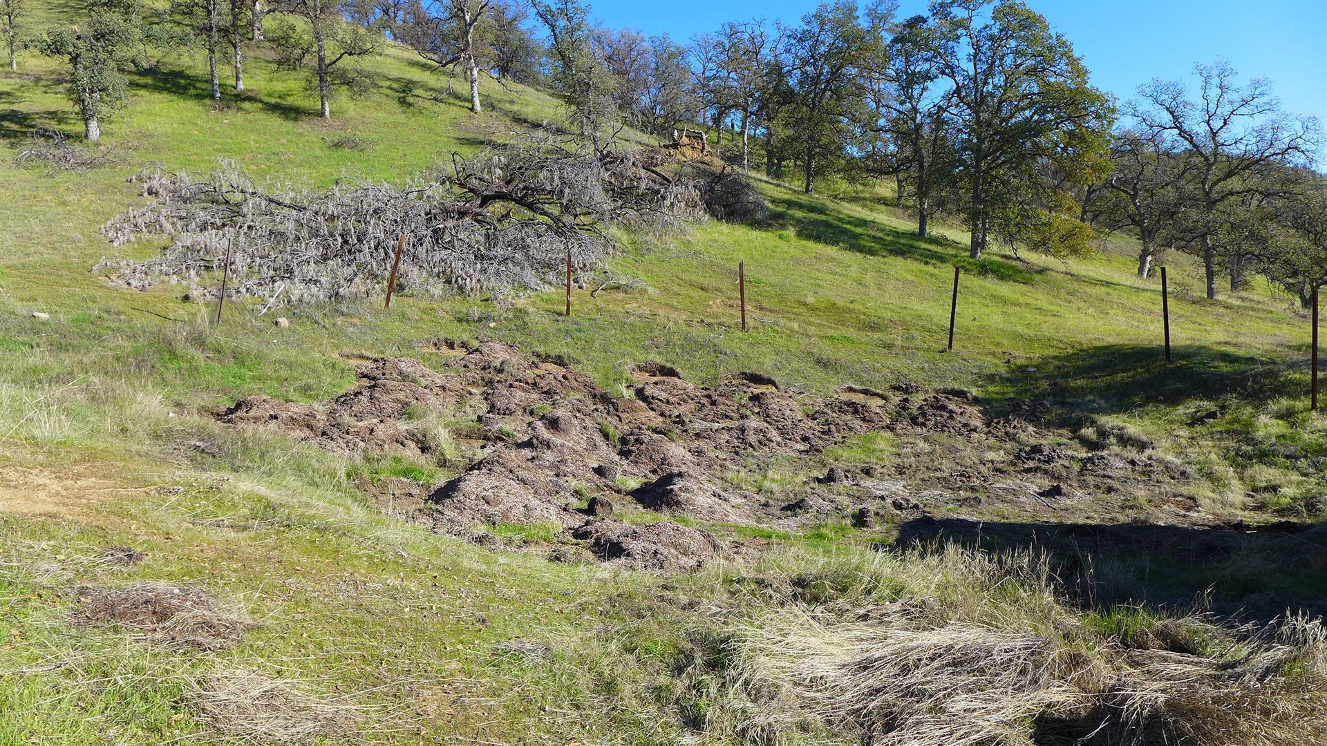 Lot 207 Fiddlers Road Igo, CA 96047 - Photo 14 of 17 P1070157
