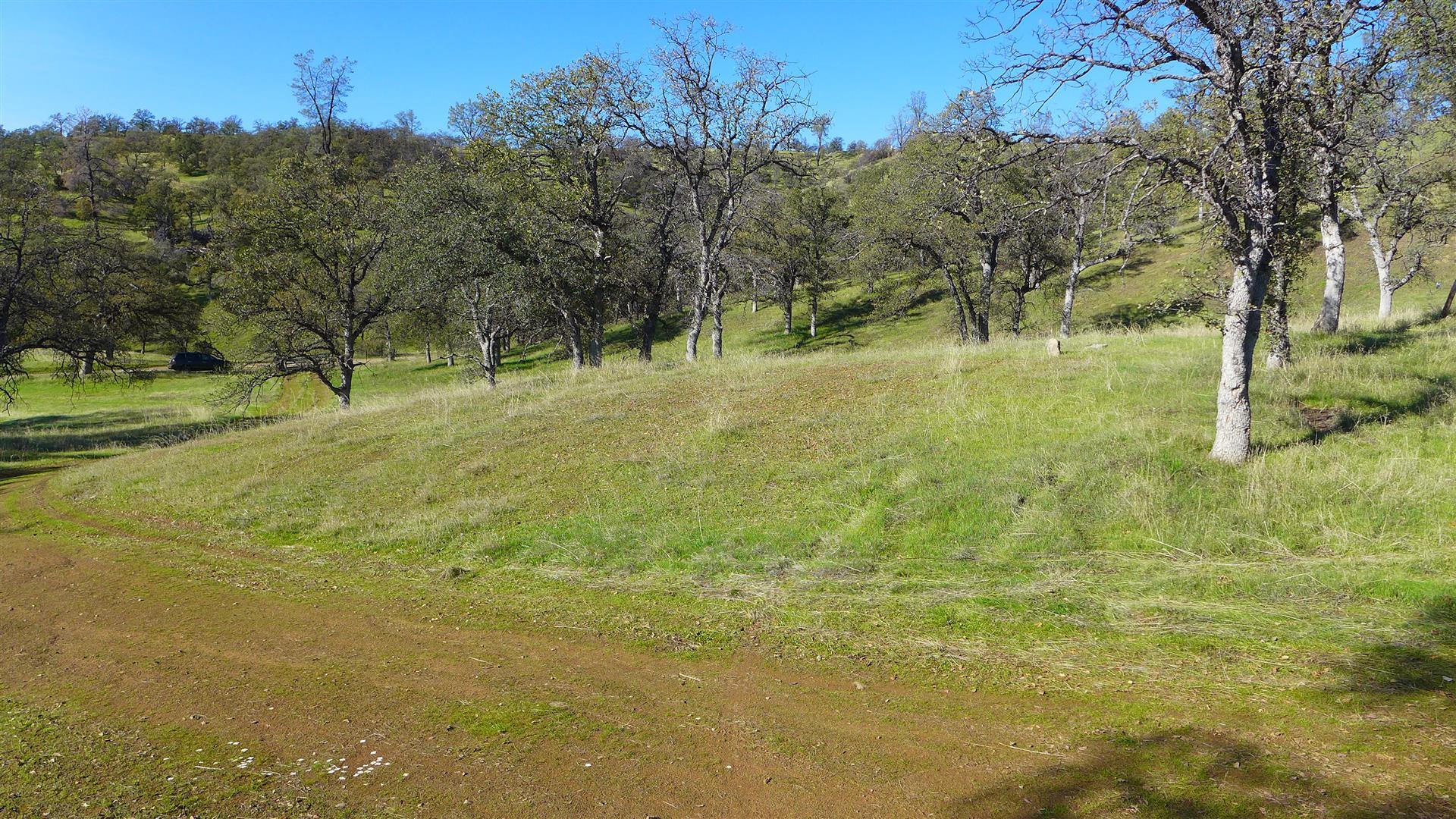 Lot 207 Fiddlers Road Igo, CA 96047 - Photo 17 of 17 P1070166