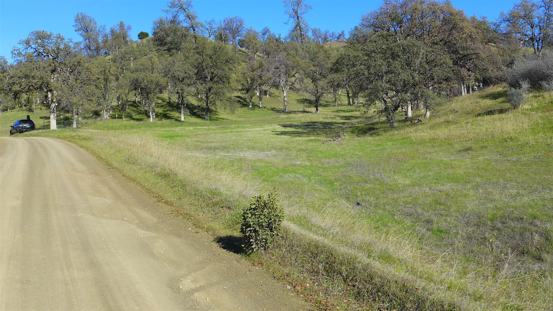 Lot 207 Fiddlers Road Igo, CA 96047 - Photo 8 of 17 P1070149