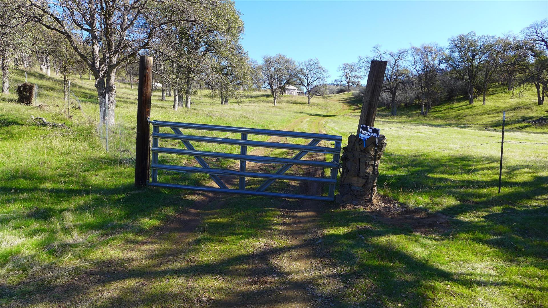 Lot 207 Fiddlers Road Igo, CA 96047 - Photo 9 of 17 P1070150