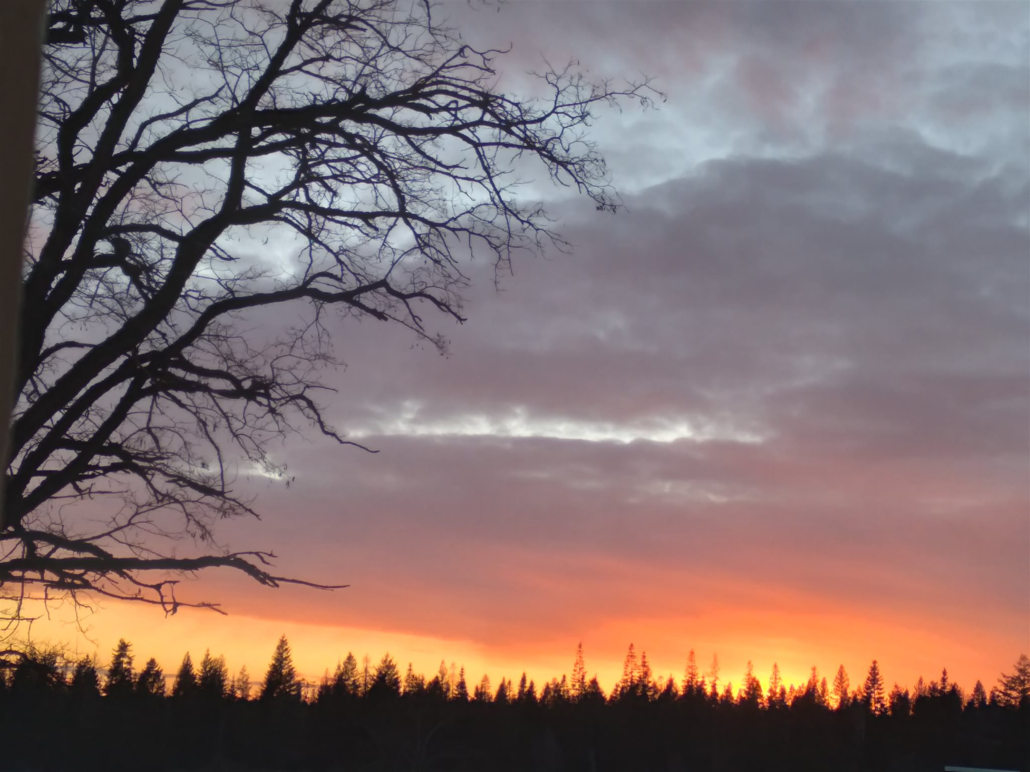 X North Willms Road Elk, WA 99009 - Photo 4 of 4