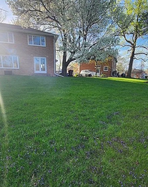 37 Choate Road Park Forest, IL 60466 - Photo 16 of 17 a front view of house with garden