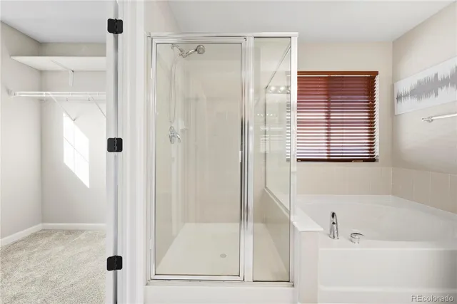 a bathroom with a bathtub and a shower