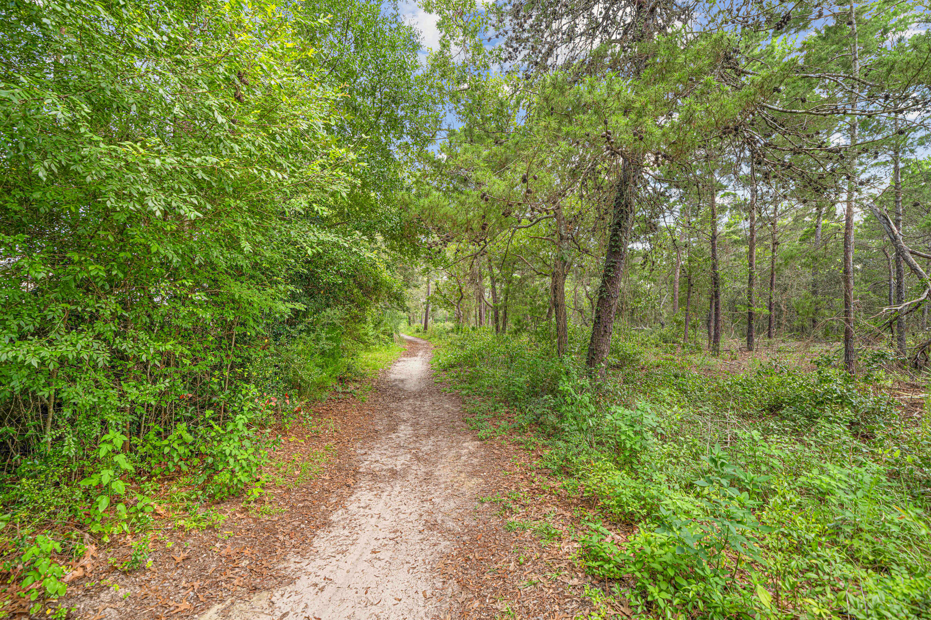 42 Vía Largo, Unit 7B Santa Rosa Beach, FL 32459 - Photo 22 of 36 a view of a forest with trees in the background