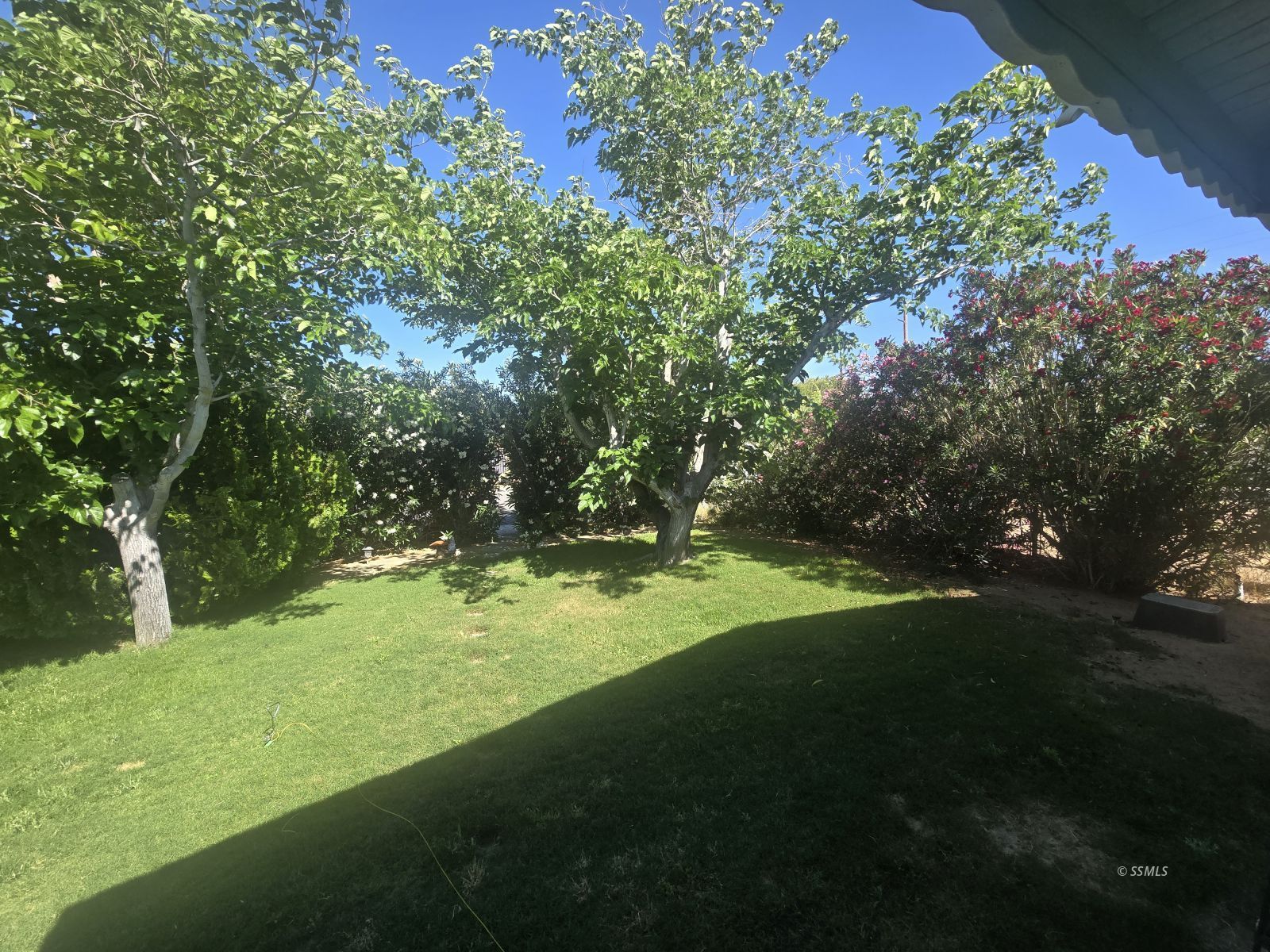 233 South Springside Street Ridgecrest, CA 93555 - Photo 2 of 23