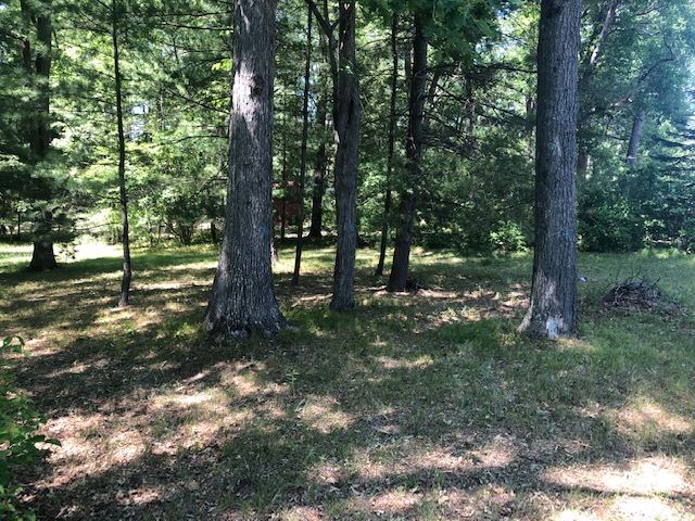Lot 10 Jose Lake Road Hale, MI 48739 - Photo 3 of 17 1876745-2.JPG