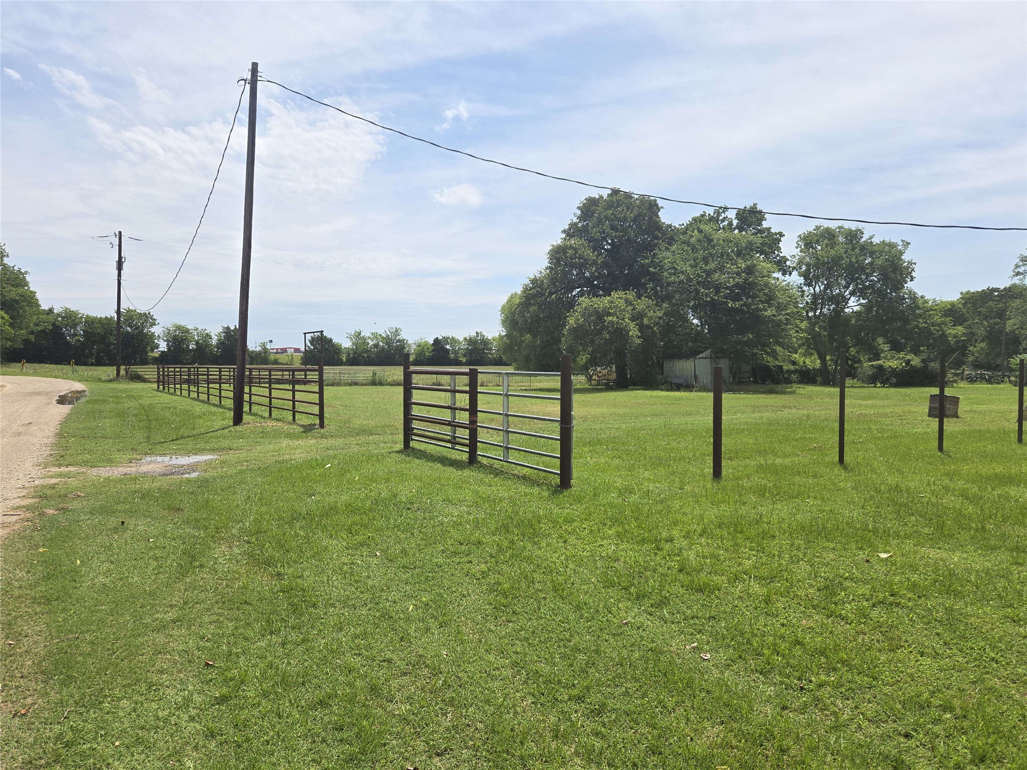 4450 Greenbriar Road Madisonville, TX 77864 - Photo 5 of 24
