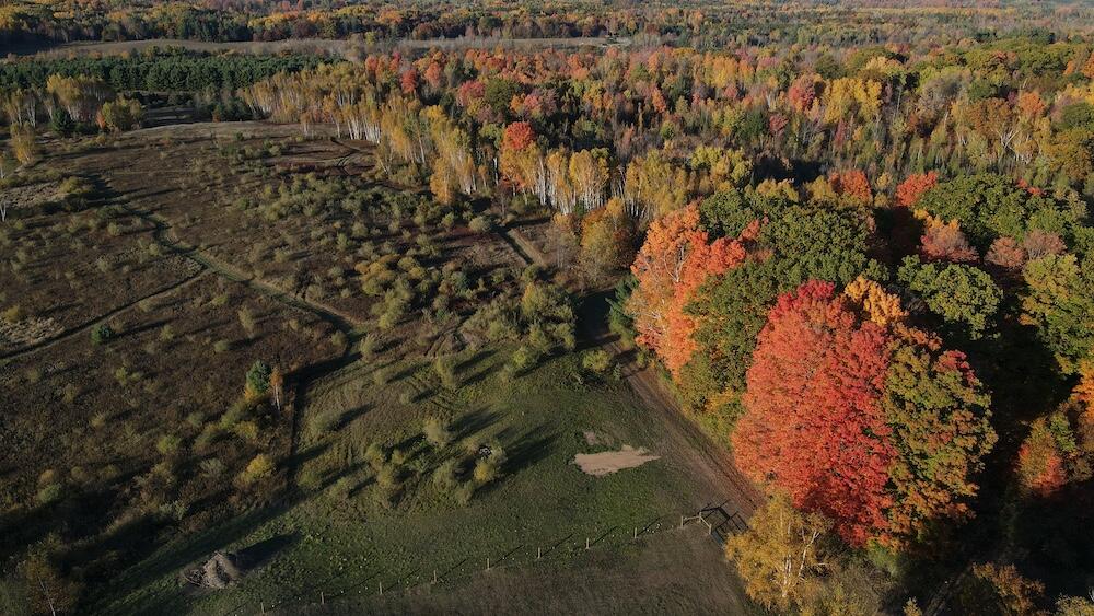 4116 Dutcher Road Gladwin, MI 48624 - Photo 72 of 135 DJI_0263