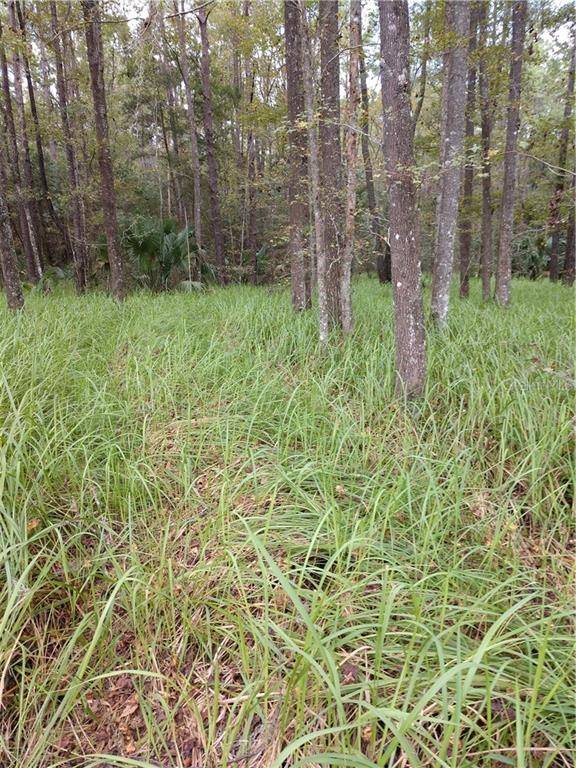 0 Southwest 63rd Street Road Ocala, FL 34476 - Photo 1 of 1 a view of a garden