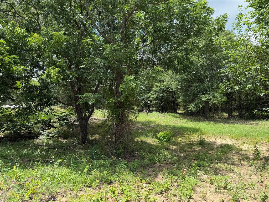 5 Slate Rock Road Ennis, TX 75119 - Photo 2 of 20