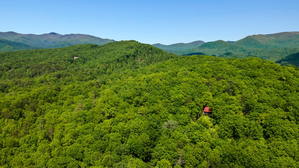 127 Berry Reister Road Blairsville, GA 30512 - Photo 31 of 35