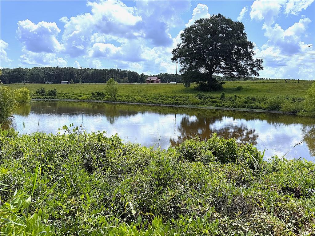 6-acres Lee Road Franklinton, LA 70438 - Photo 5 of 10