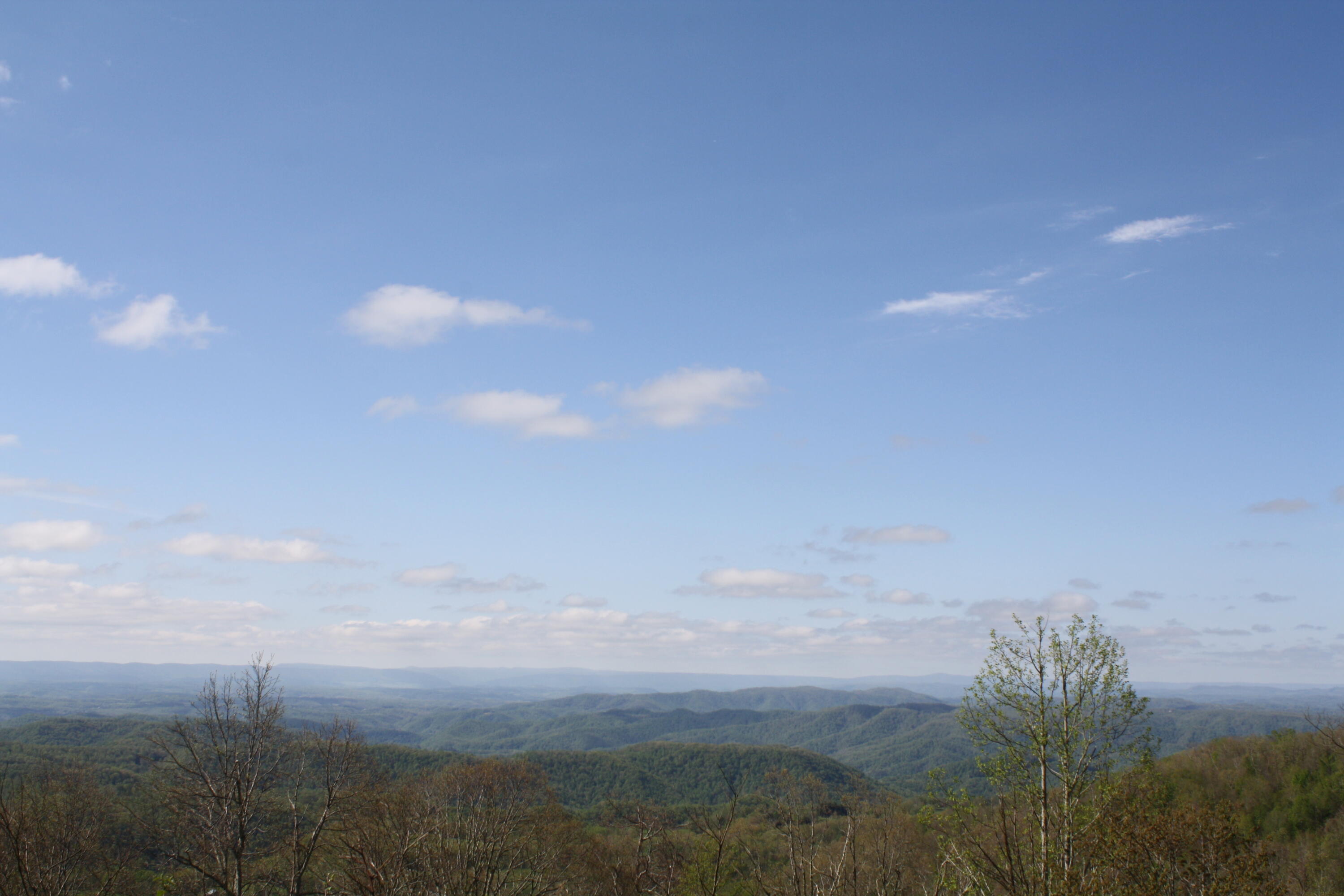 1161 Plumley Mountain Road Sandstone, WV 25985 - Photo 84 of 138 Gallery Image 84