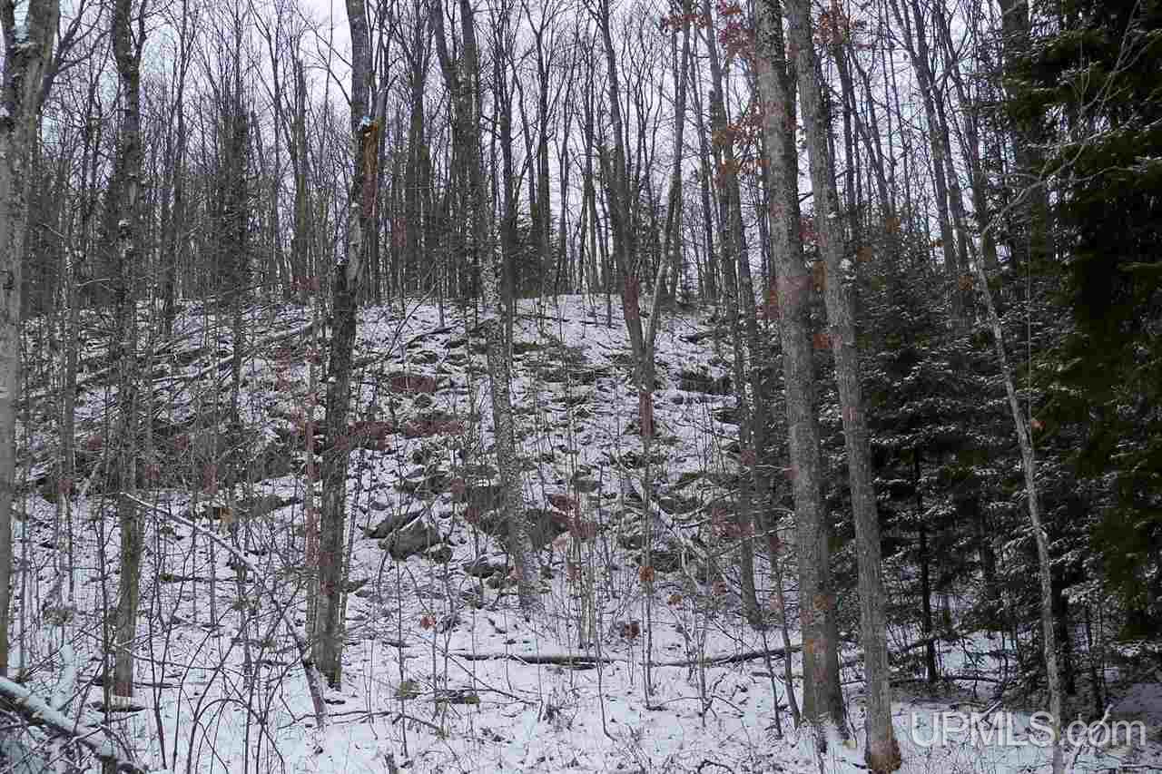 26 Co Road Negaunee, MI 49866 - Photo 29 of 31