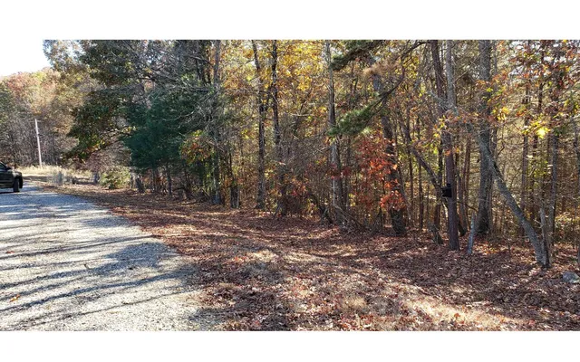 $2,000 | 451 Cobb Mountain Road, Blairsville, GA 30512