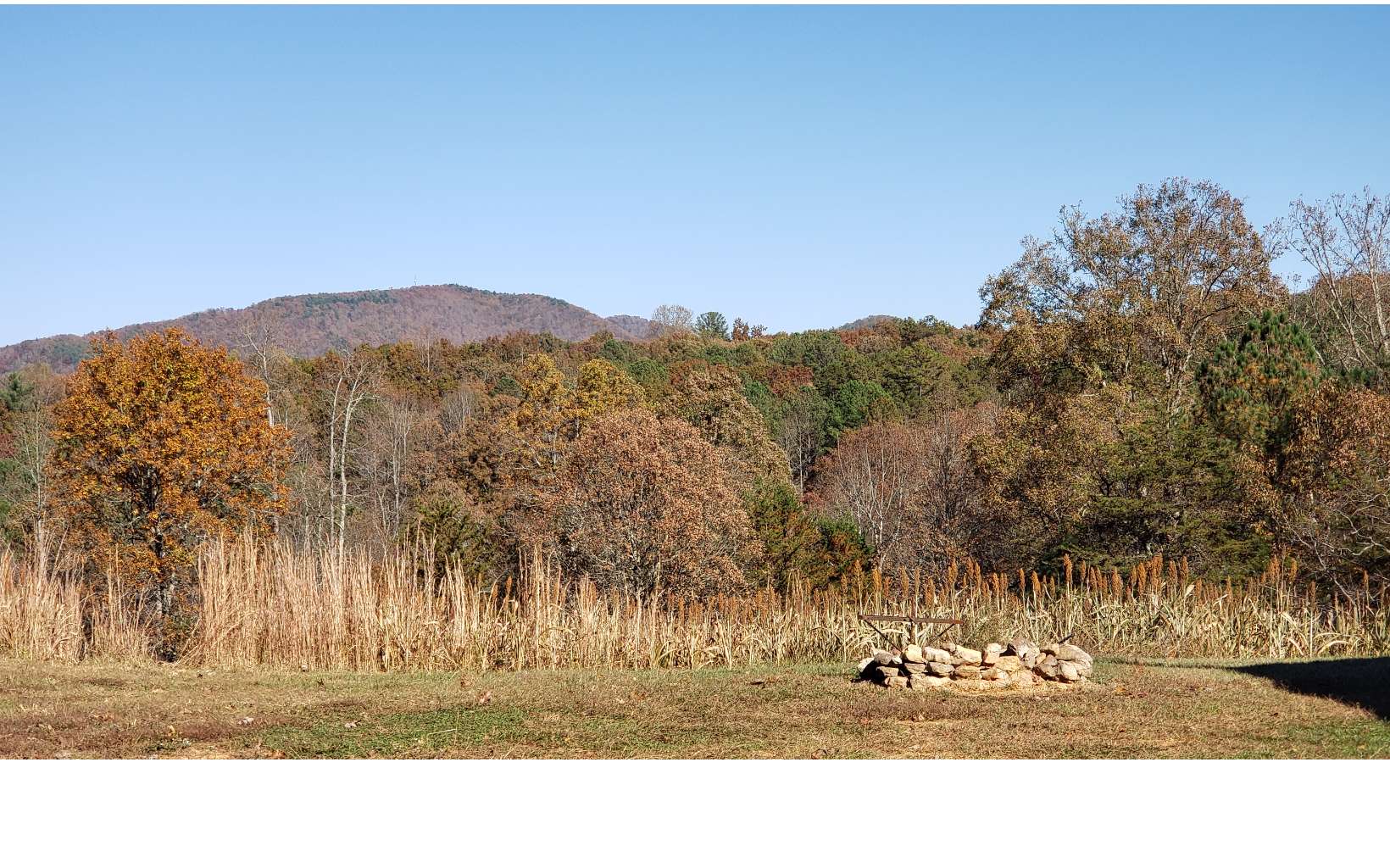451 Cobb Mountain Road Blairsville, GA 30512 - Photo 4 of 27 Additional View