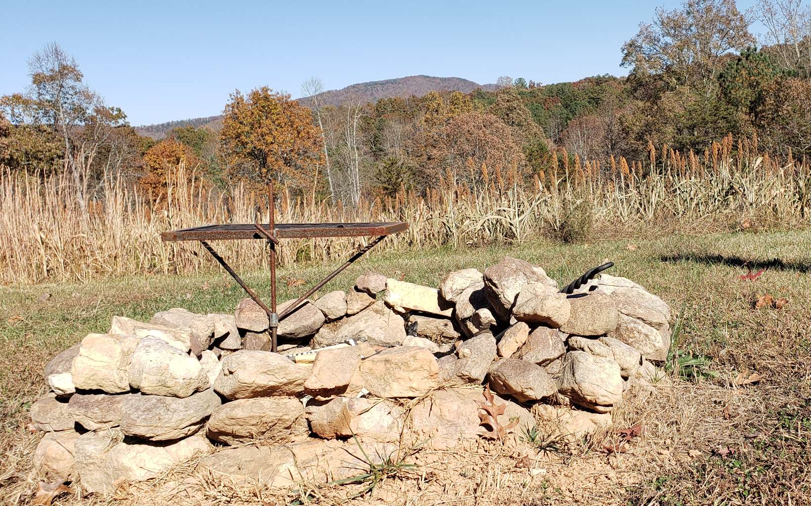 451 Cobb Mountain Road Blairsville, GA 30512 - Photo 5 of 27 Additional View