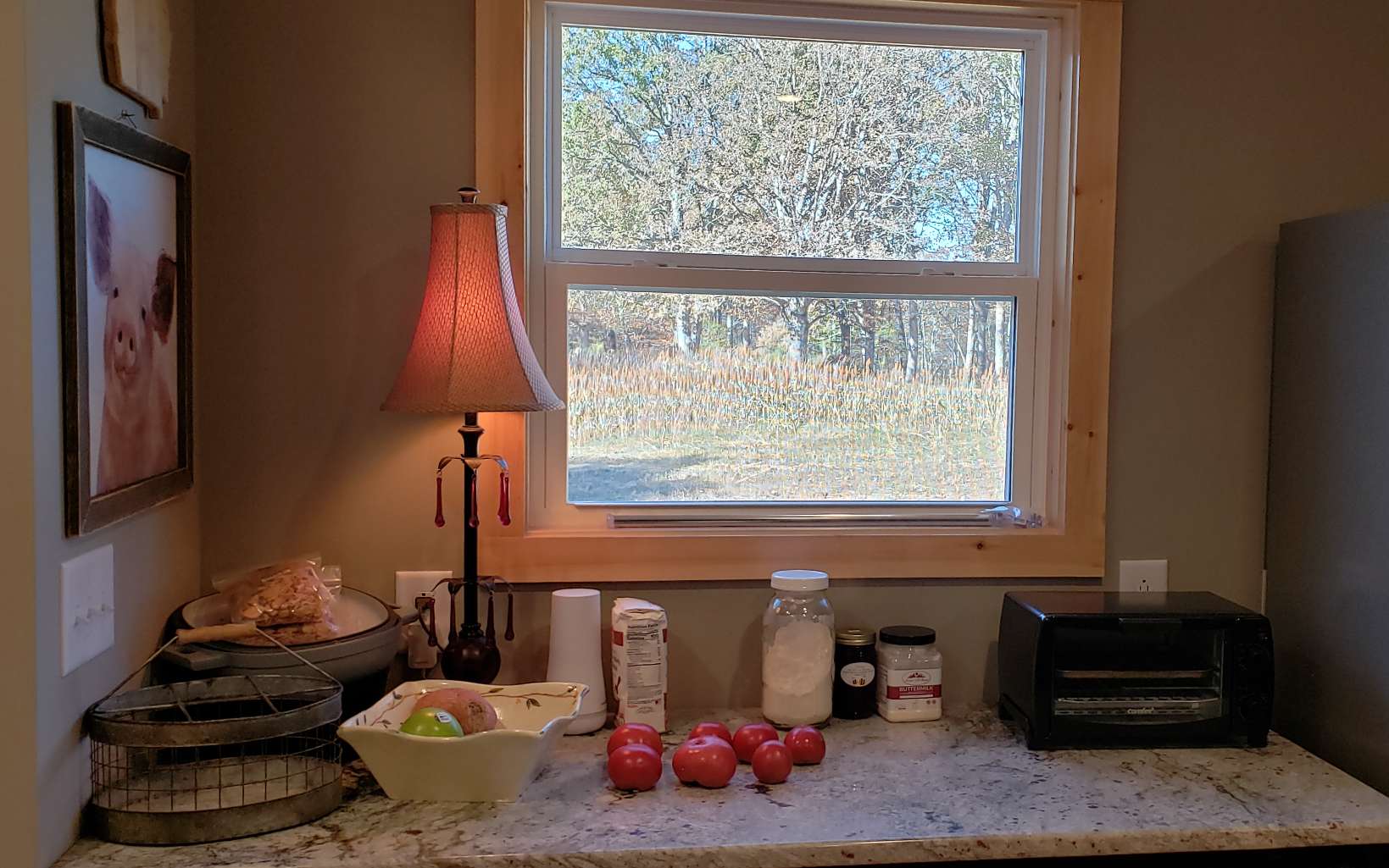 451 Cobb Mountain Road Blairsville, GA 30512 - Photo 9 of 27 Additional View