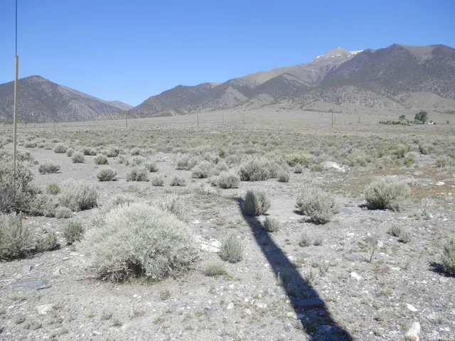 a view of a dry field with mountains in the background