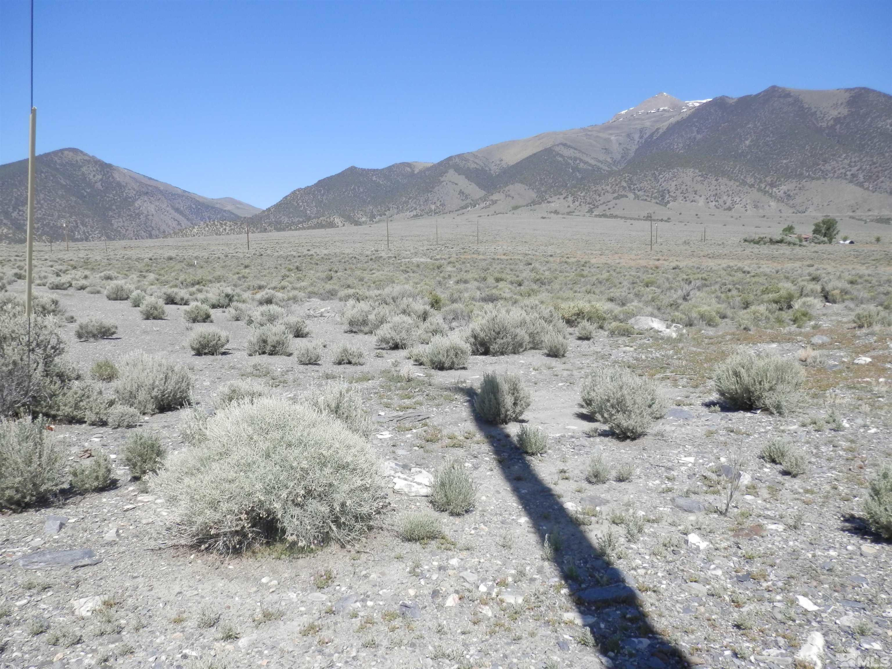 a view of a dry field with mountains in the background