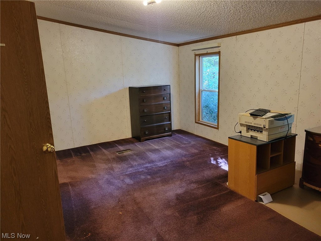 2450 Ferguson Road McConnelsville, OH 43756 - Photo 7 of 13 Unfurnished office featuring dark carpet and a textured ceiling
