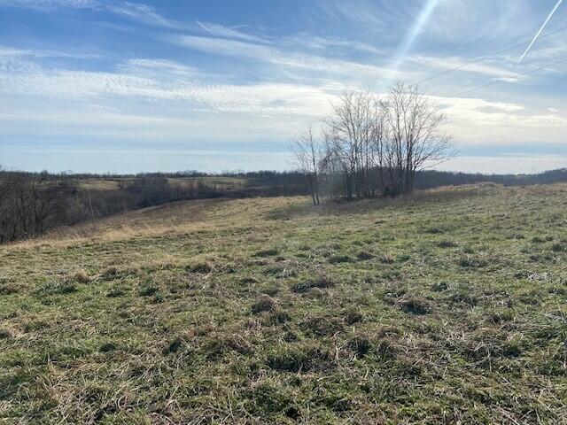 1870 Cane Run Road Carlisle, KY 40311 - Photo 2 of 7 Gallery Image 2