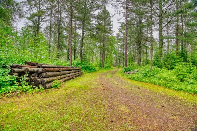 $225,000 | 2003 Brimson Road, Brimson, MN 55602