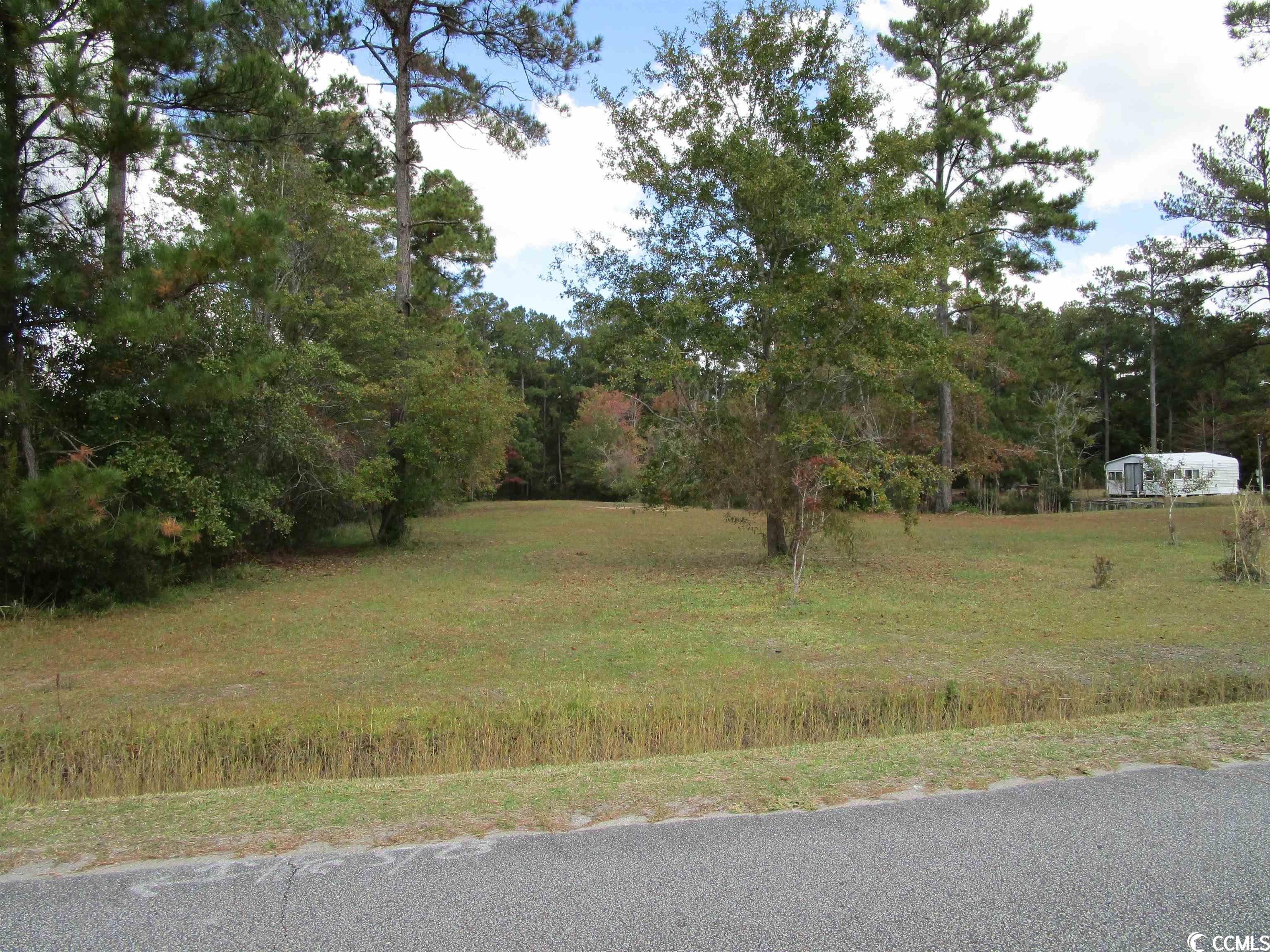 Tbd Fern Ridge Road Conway, SC 29527 - Photo 3 of 10
