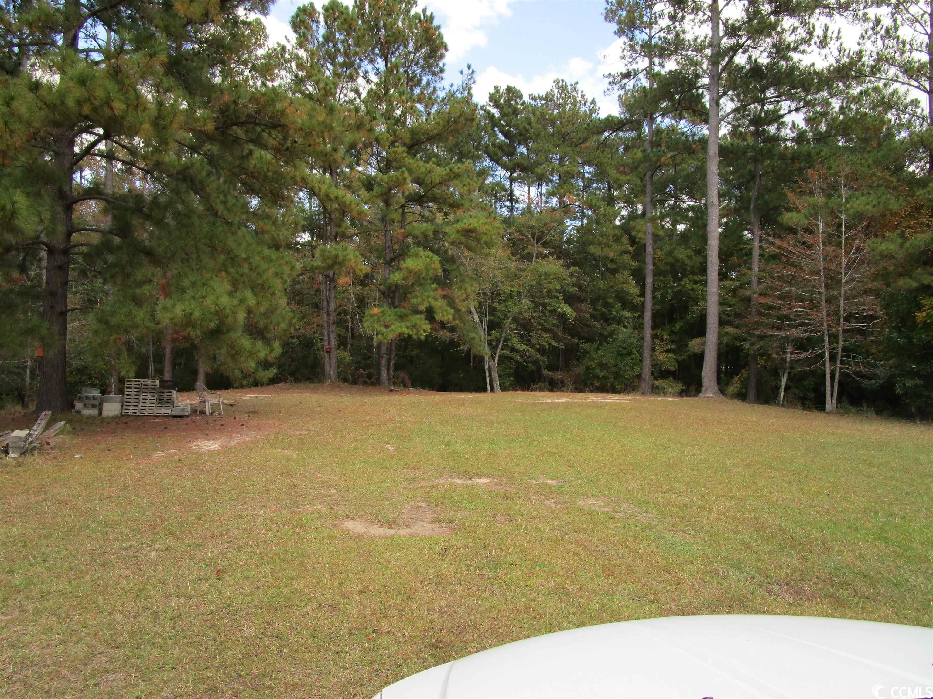 Tbd Fern Ridge Road Conway, SC 29527 - Photo 10 of 10