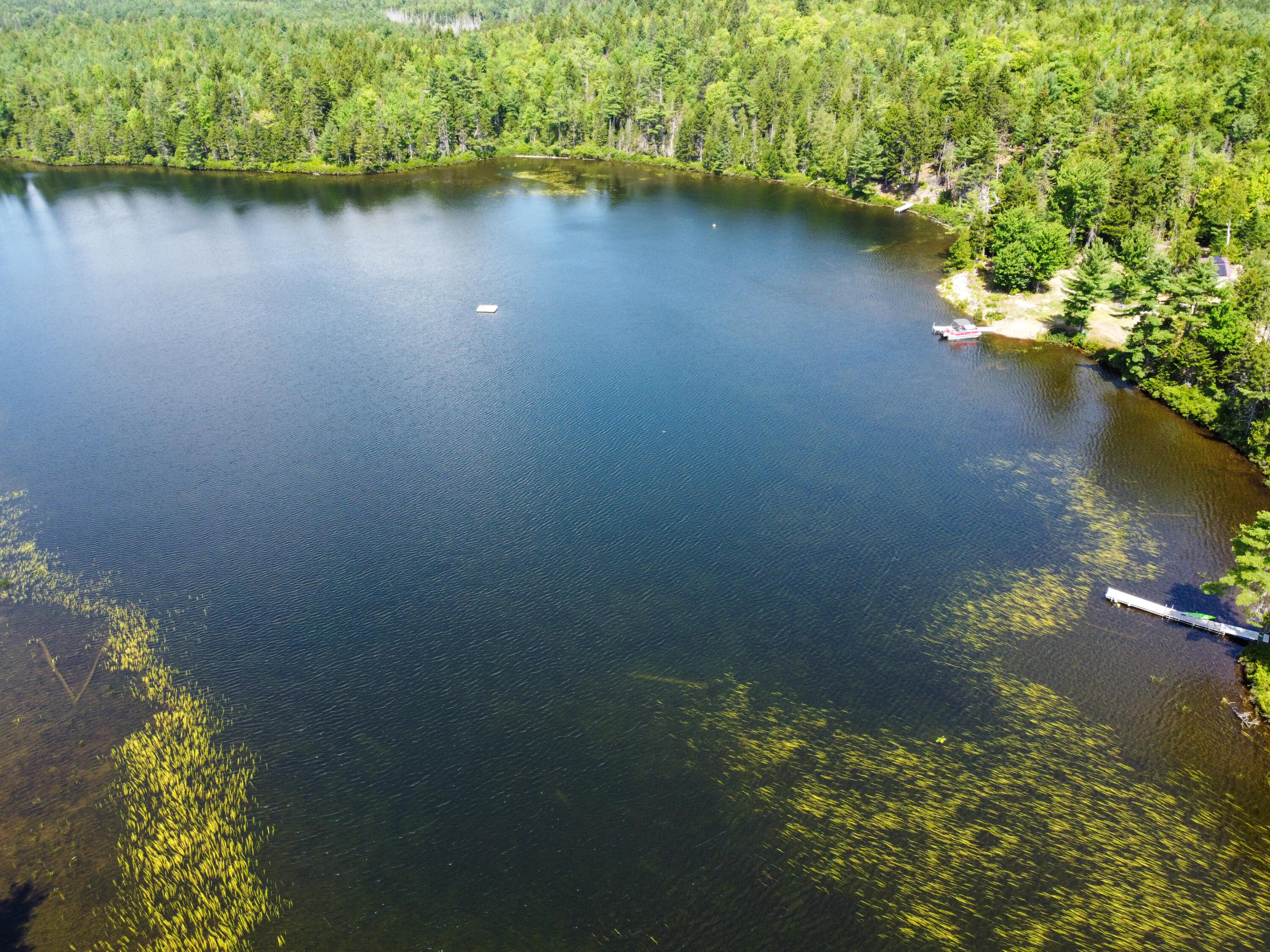 Lot 6 Goulding Lk Road Robbinston, ME 04671 - Photo 8 of 30 DJI_0860