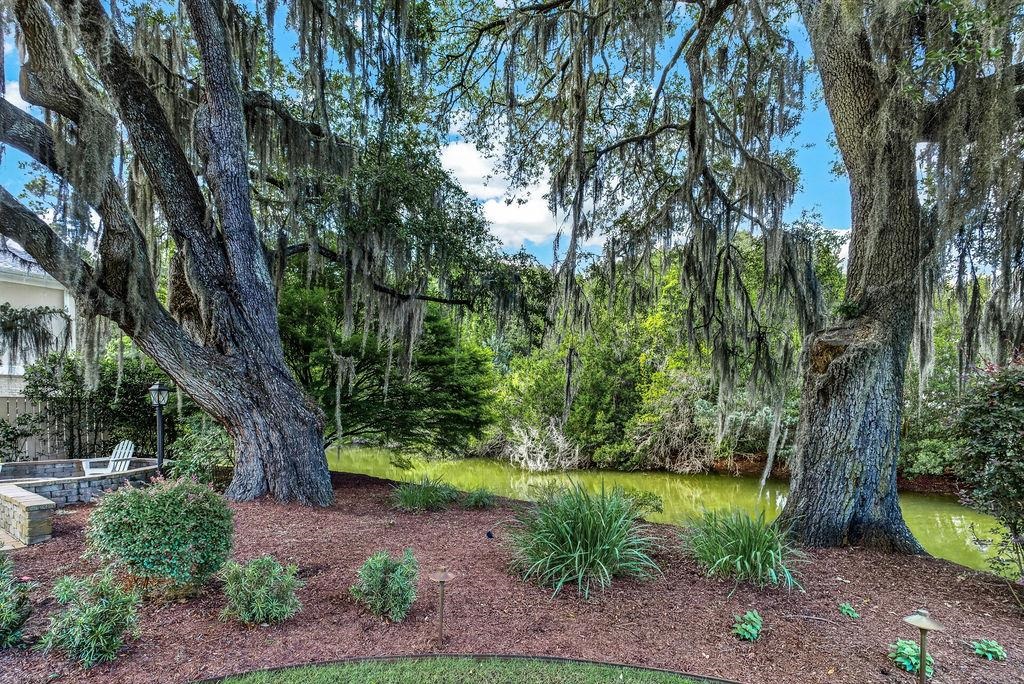 51 Shearwater Court Georgetown, SC 29440 - Photo 68 of 82