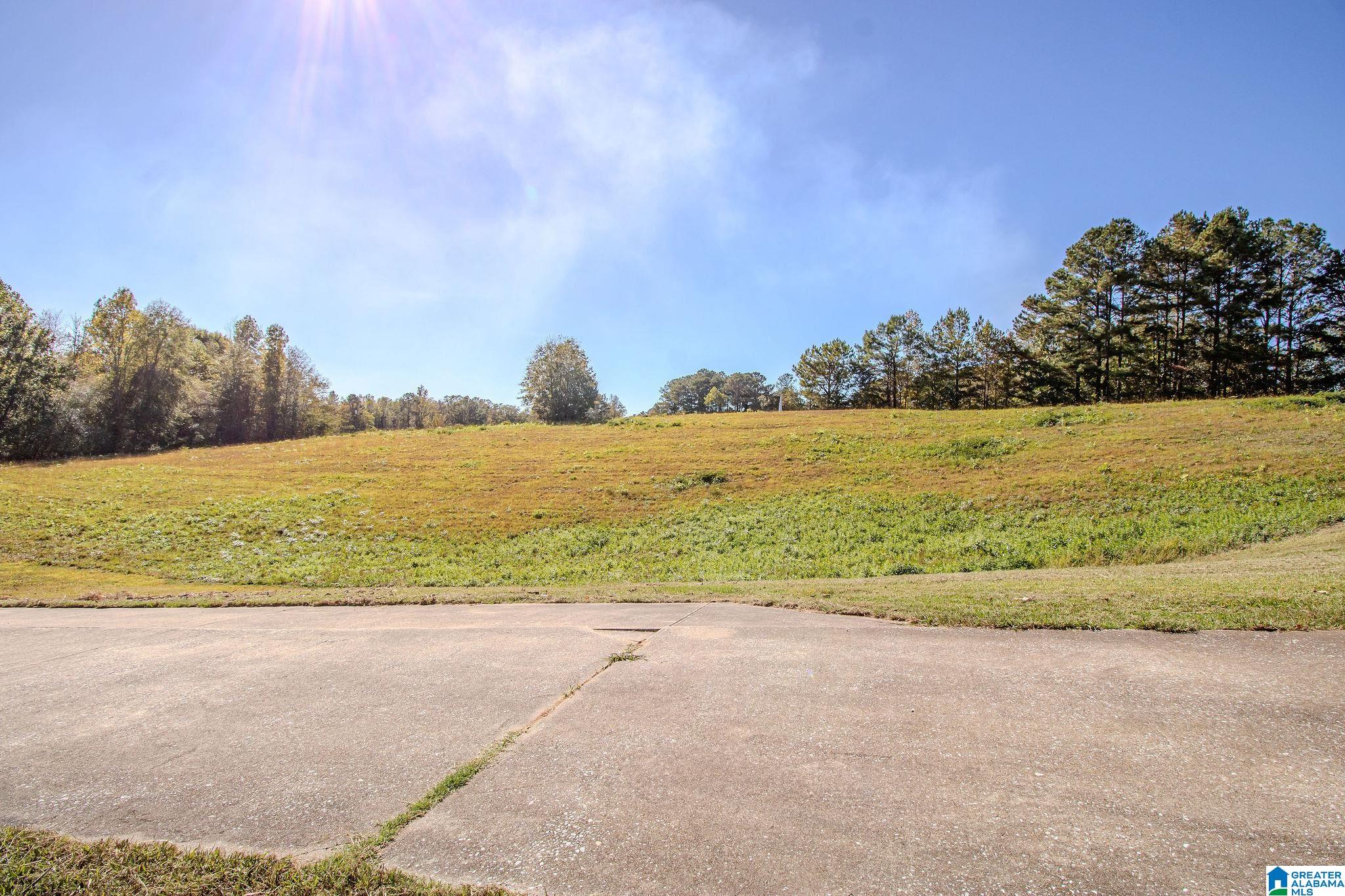 193 Brown Street Heflin, AL 36264 - Photo 36 of 57