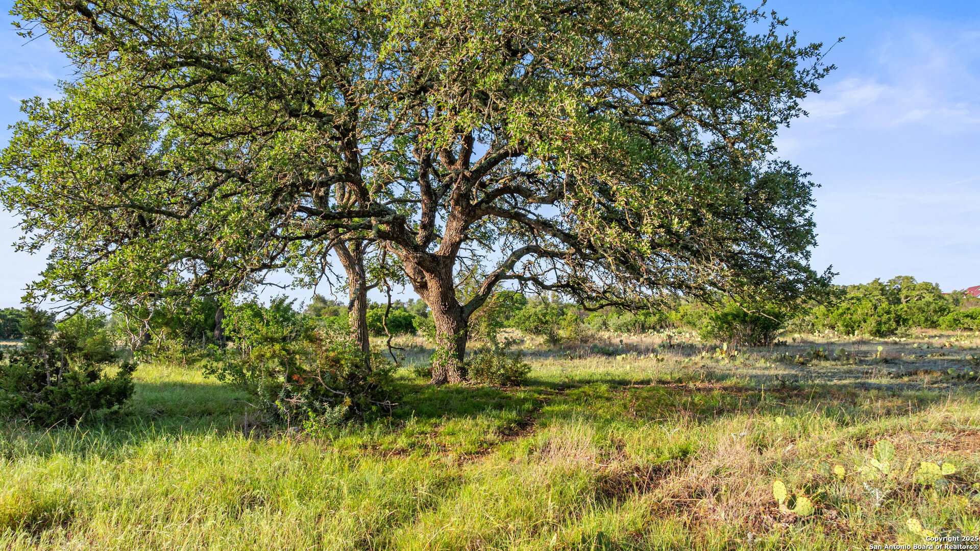 Lot 4 Vista Ridge Round Mountain, TX 78663 - Photo 1 of 25 a view of lake