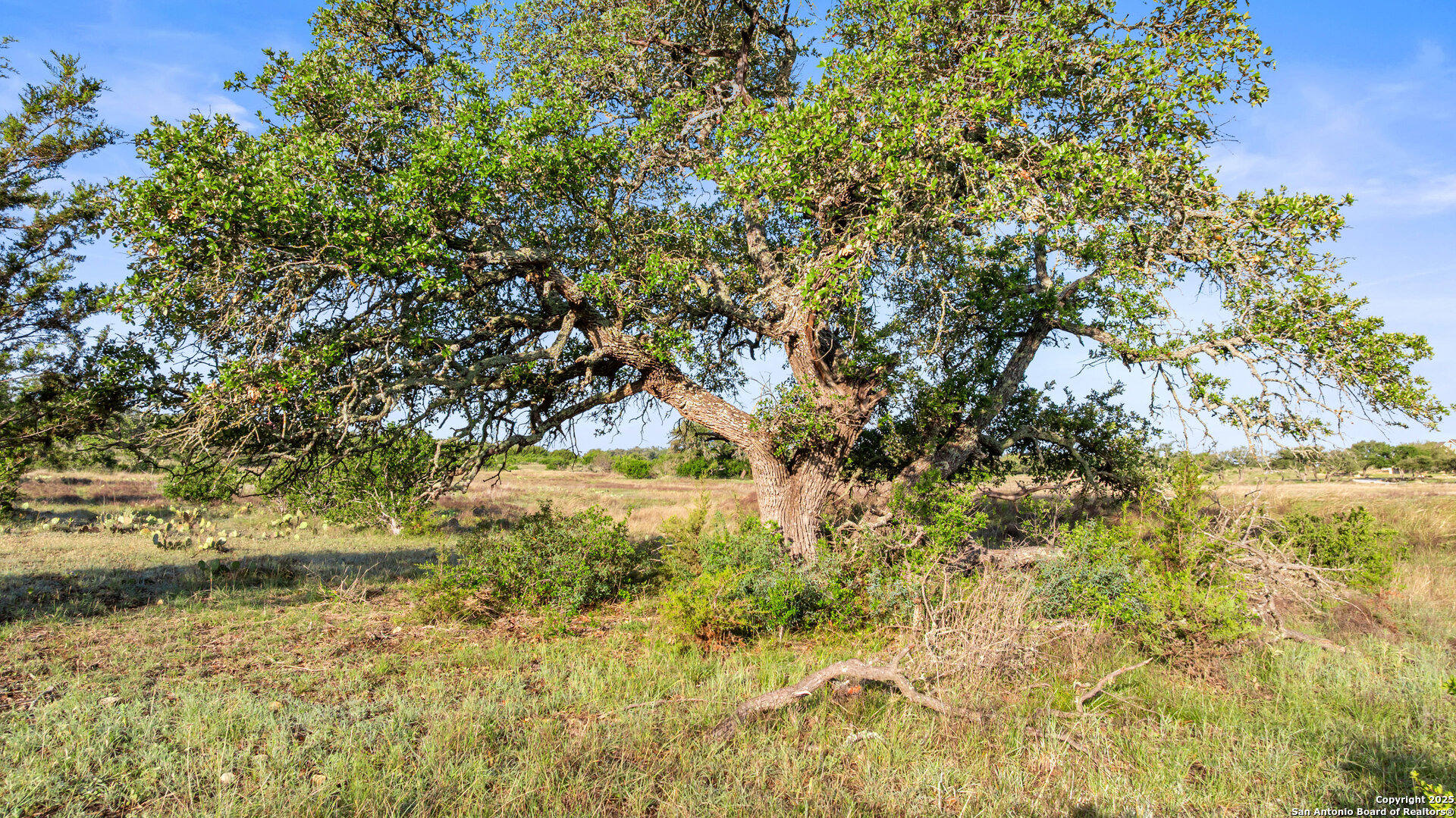 Lot 4 Vista Ridge Round Mountain, TX 78663 - Photo 13 of 25 a view of a house with a tree