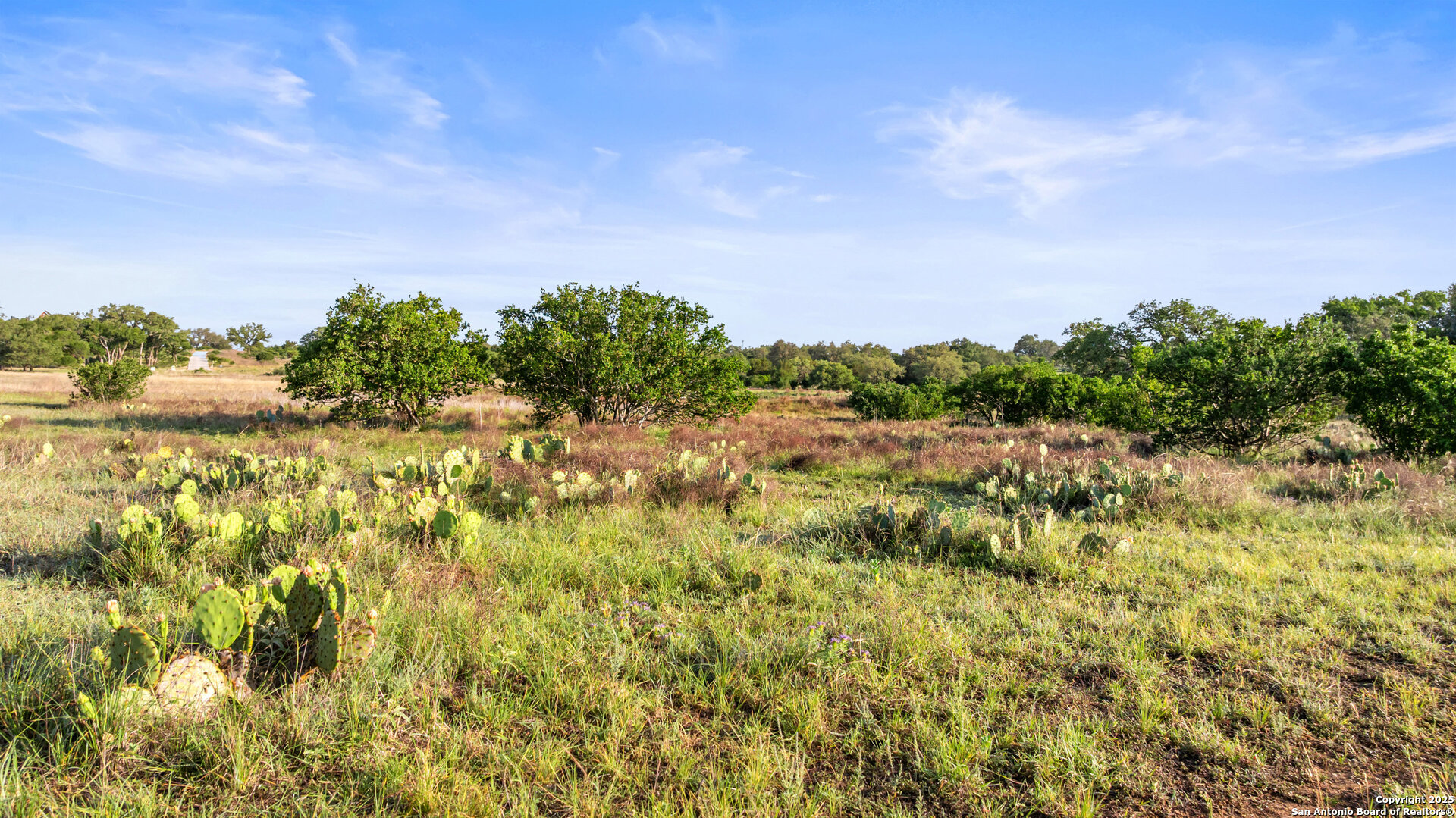 Lot 4 Vista Ridge Round Mountain, TX 78663 - Photo 17 of 25 a view of a yard with a tree