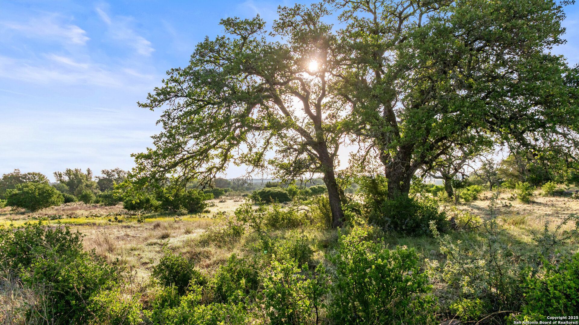 Lot 4 Vista Ridge Round Mountain, TX 78663 - Photo 18 of 25 a view of a field of grass and trees