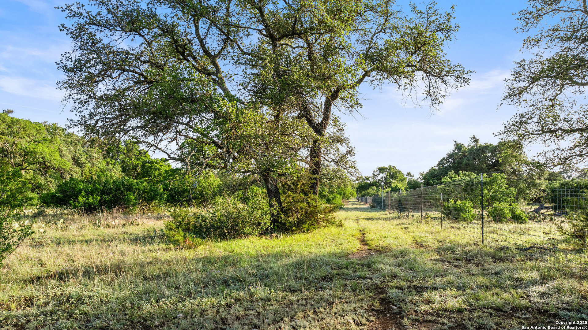 Lot 4 Vista Ridge Round Mountain, TX 78663 - Photo 21 of 25 a view of yard with green space