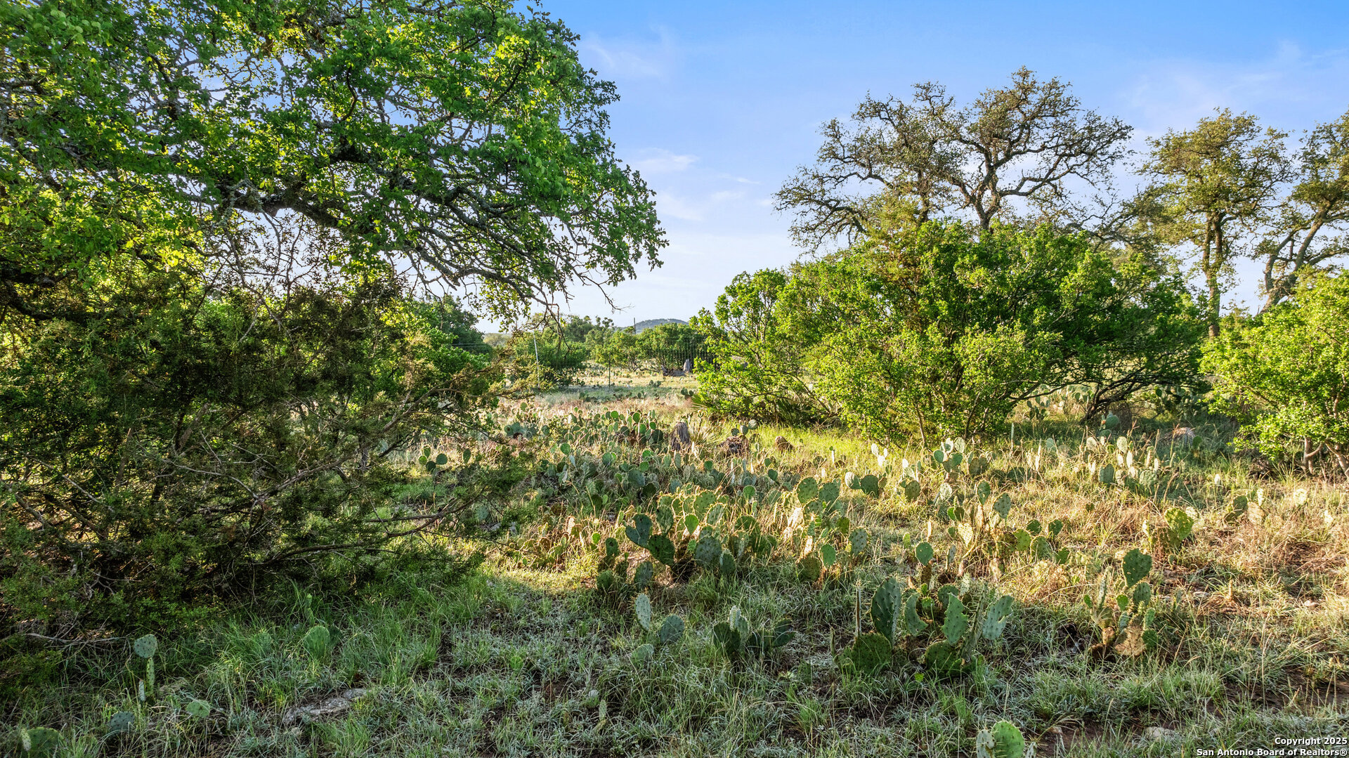 Lot 4 Vista Ridge Round Mountain, TX 78663 - Photo 23 of 25 a view of a tree
