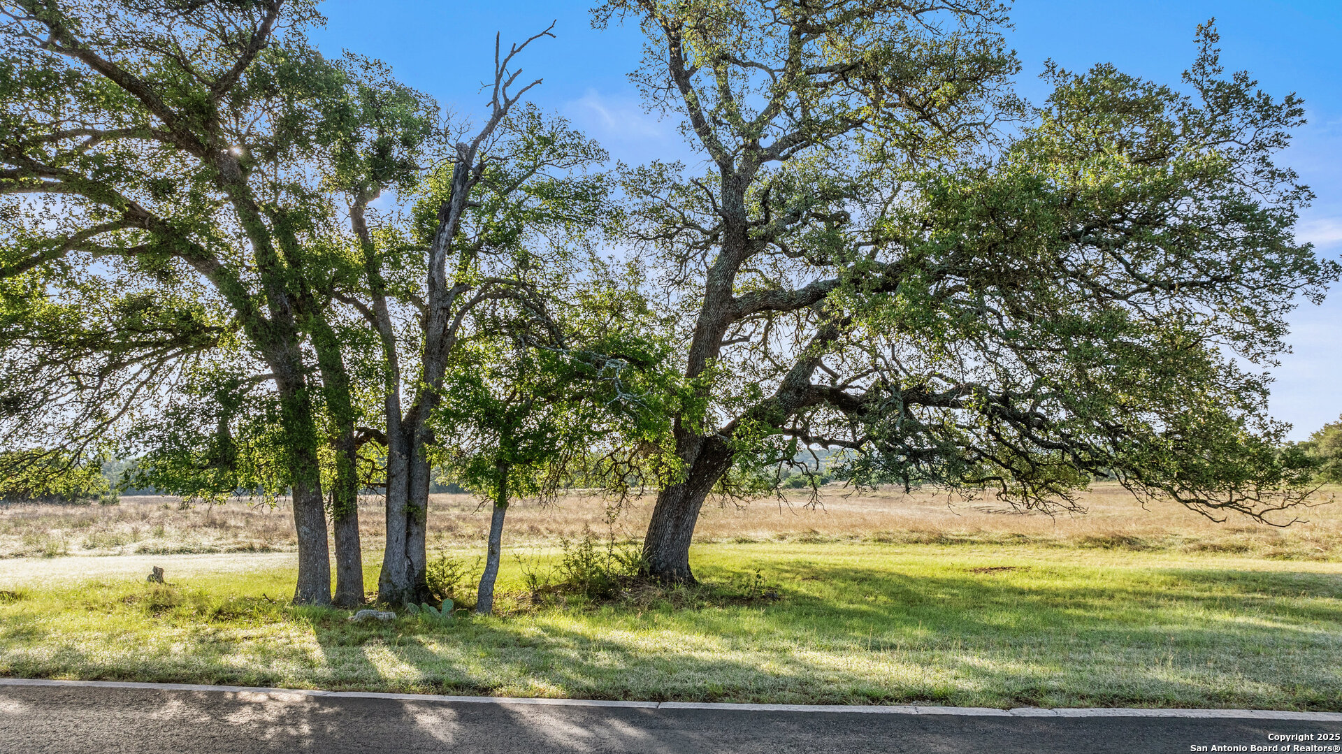 Lot 4 Vista Ridge Round Mountain, TX 78663 - Photo 6 of 25 a view of a yard with an trees