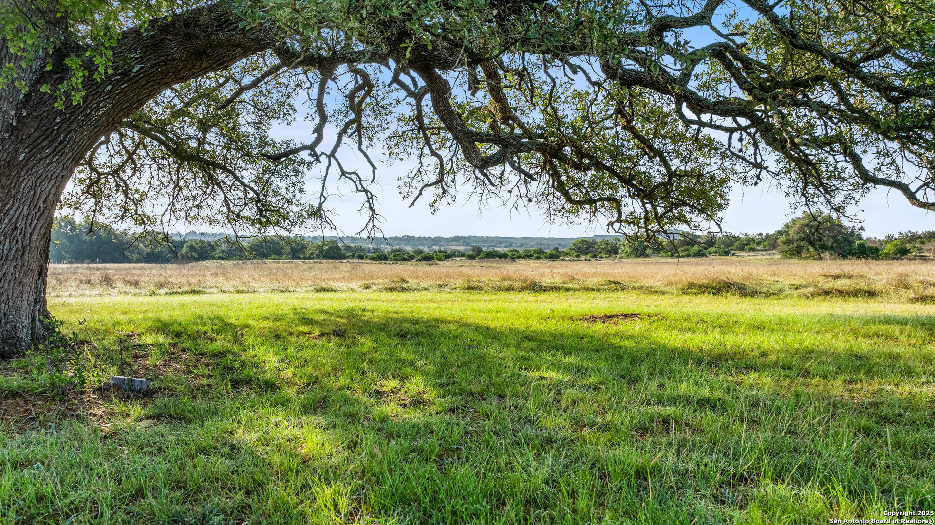 Lot 4 Vista Ridge Round Mountain, TX 78663 - Photo 8 of 25 a view of a yard with an trees