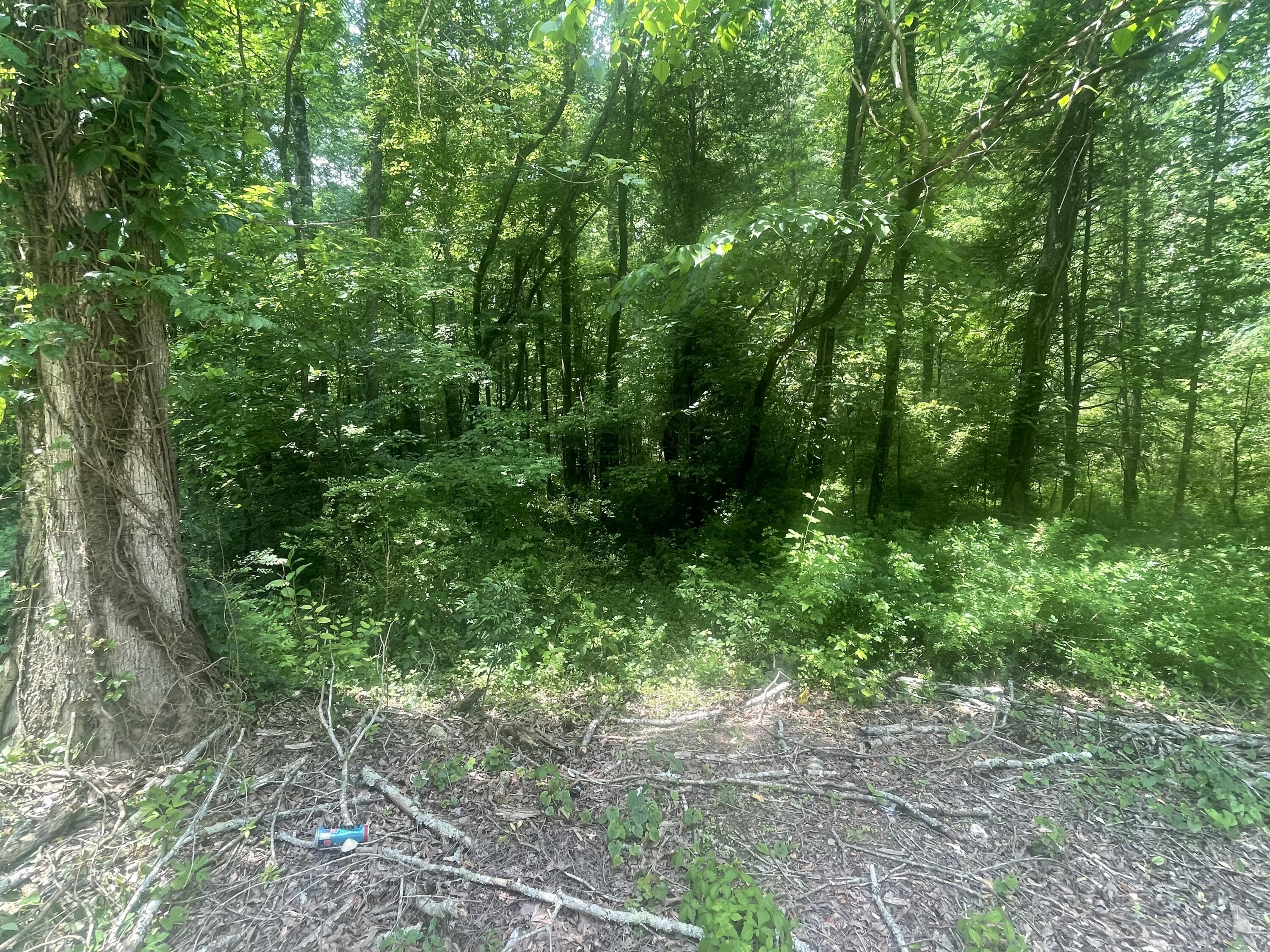 13747 Lillard Road Soddy Daisy, TN 37379 - Photo 2 of 10 4FC631F7-49C5-4891-9546-7C9CABBE8038