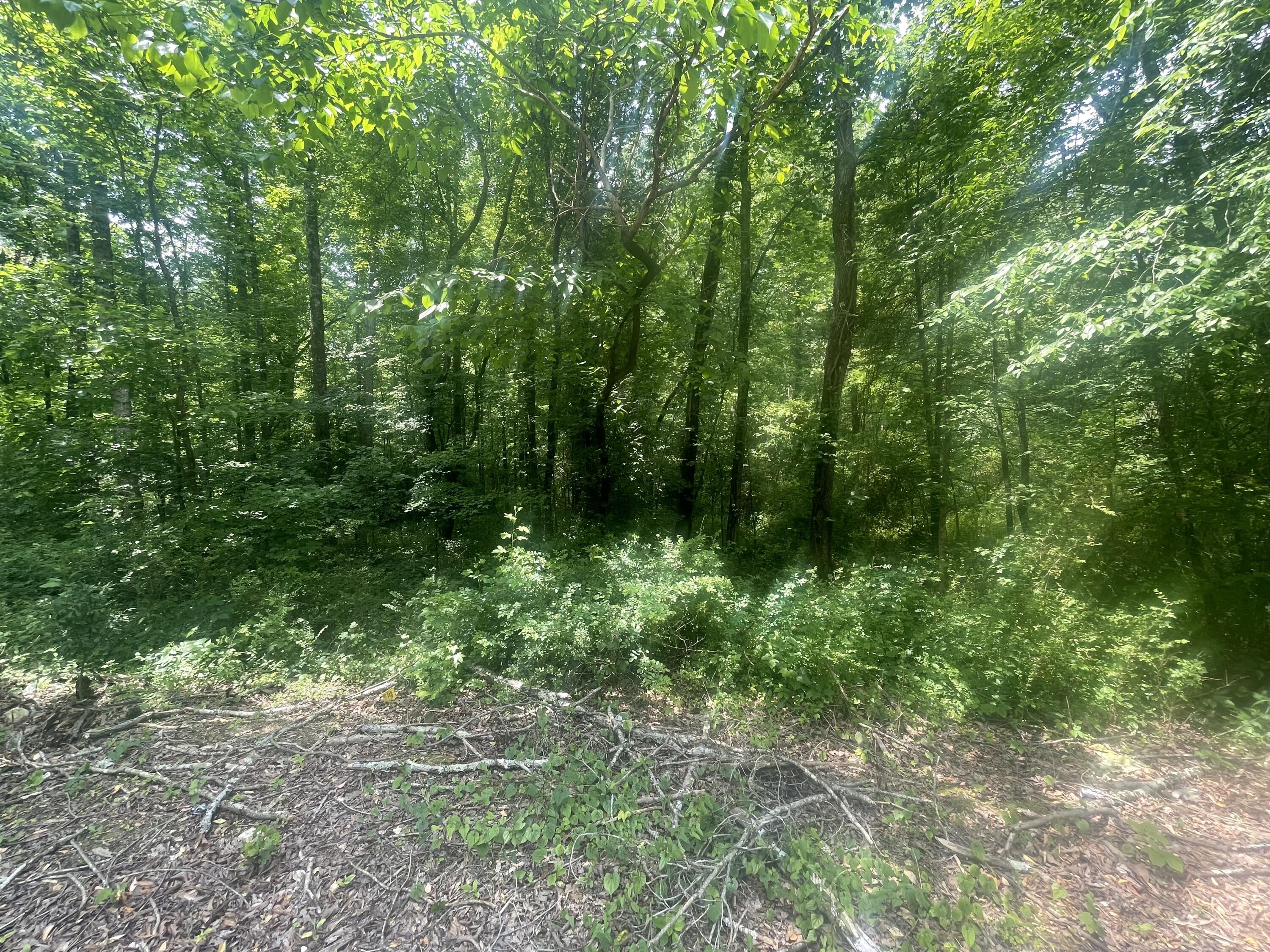 13747 Lillard Road Soddy Daisy, TN 37379 - Photo 3 of 10 6D58602E-0A9D-4419-B54A-E5CCB02DA893