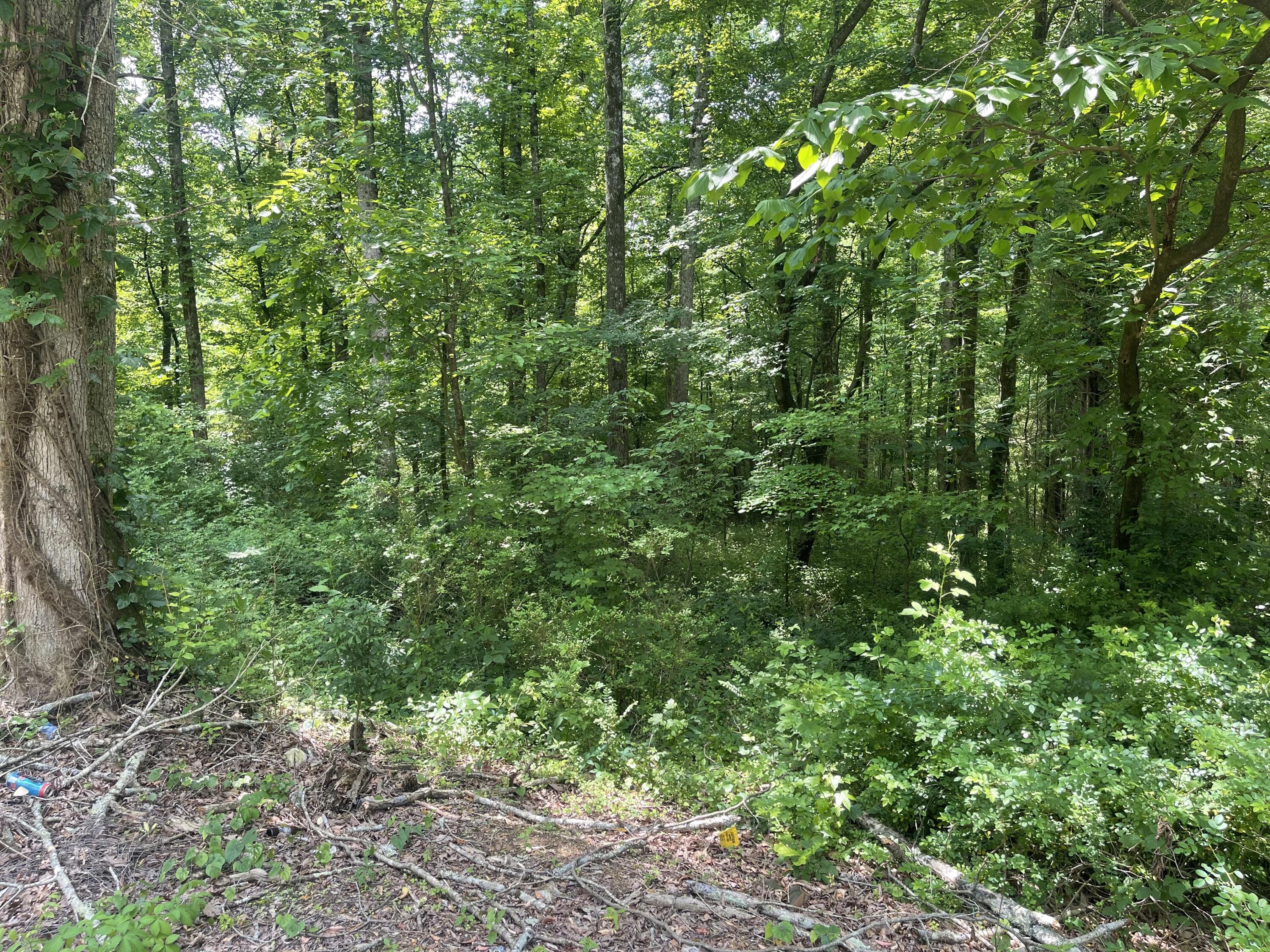 13747 Lillard Road Soddy Daisy, TN 37379 - Photo 4 of 10 EB06046E-211F-4A66-9EC8-E4AB70F95E3B