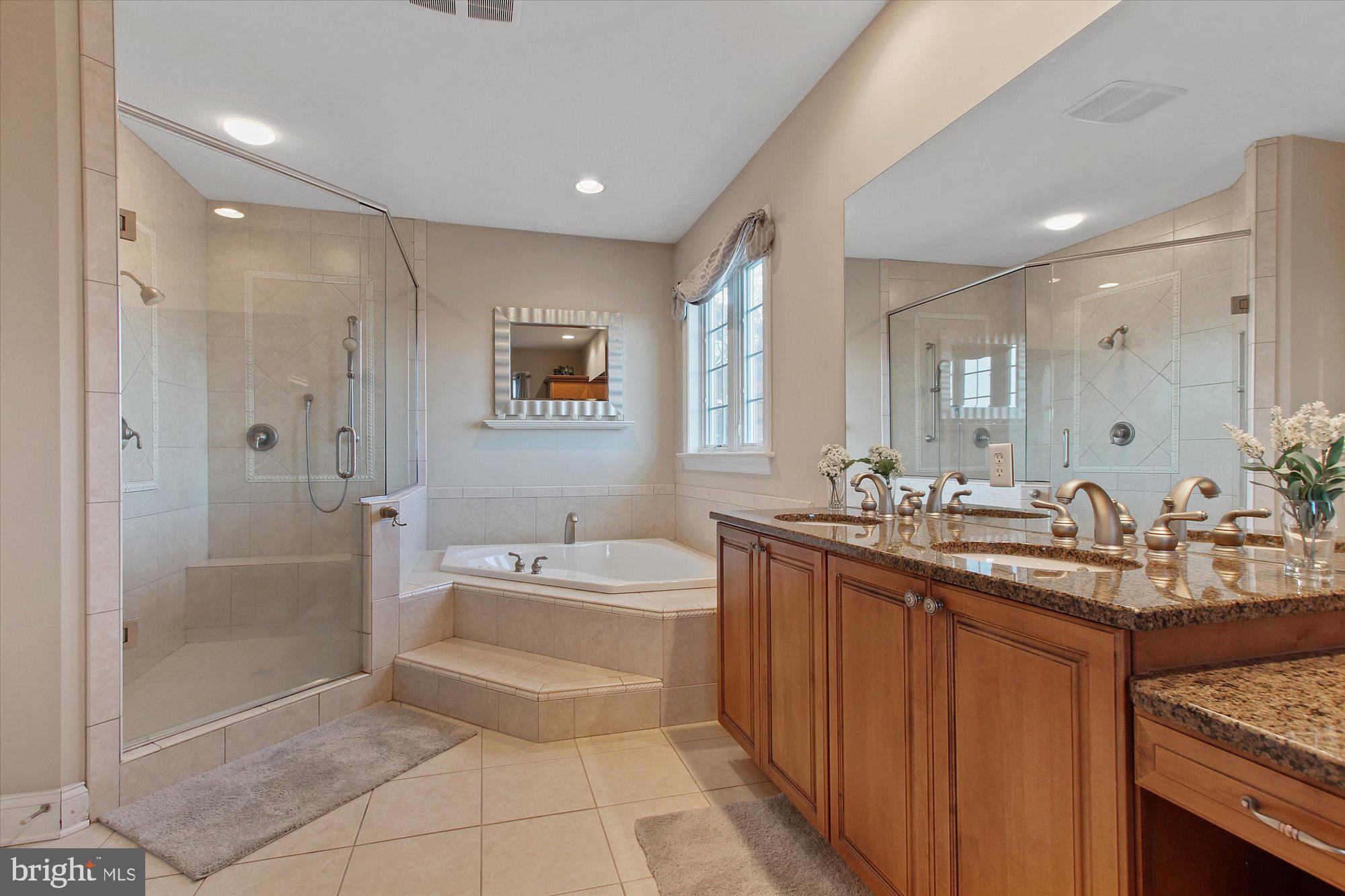 4549 Walters Hatchery Road Spring Grove, PA 17362 - Photo 23 of 64 a bathroom with a tub sink mirror and shower