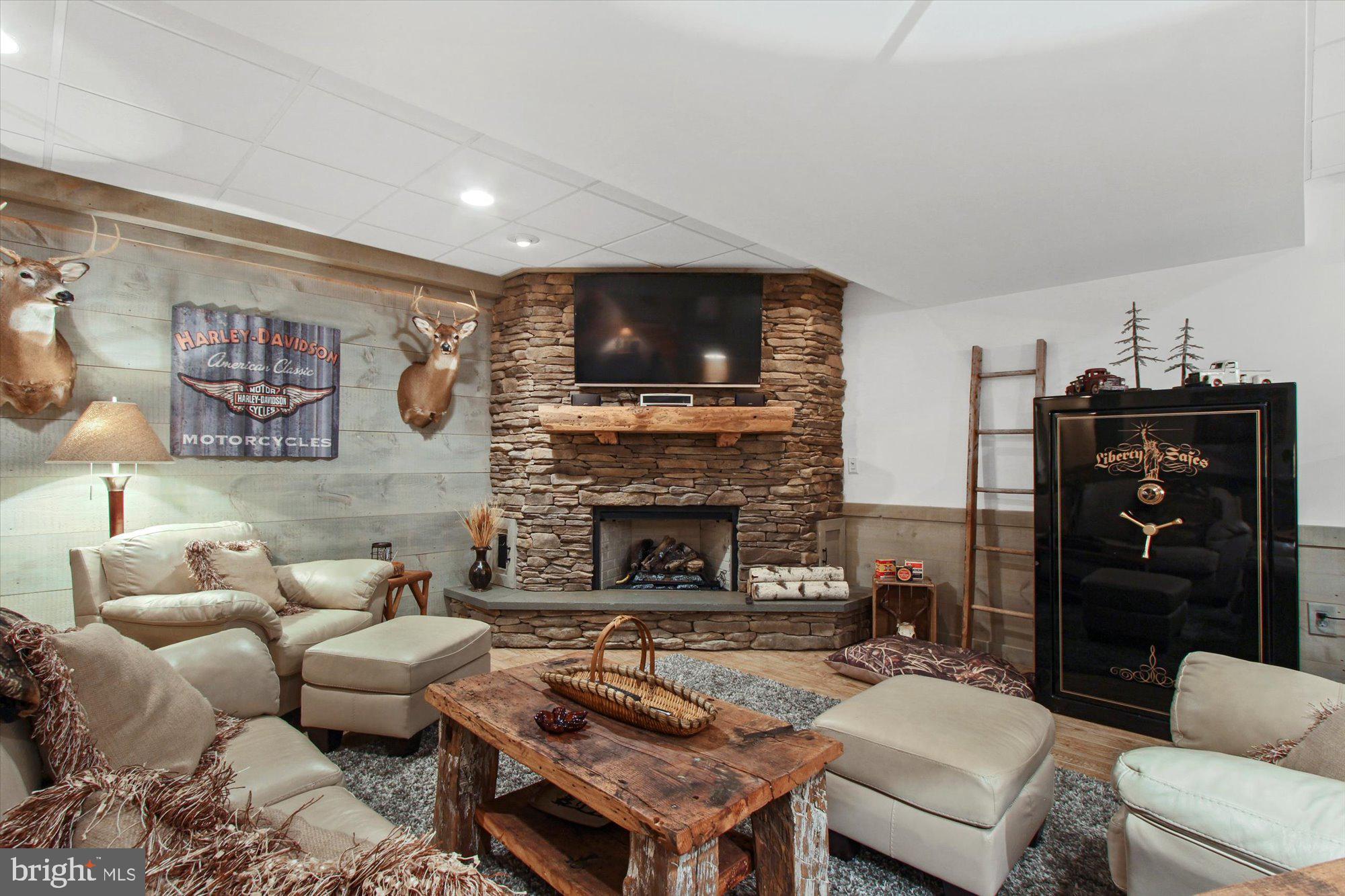 4549 Walters Hatchery Road Spring Grove, PA 17362 - Photo 36 of 64 a living room with furniture a flat screen tv and a fireplace