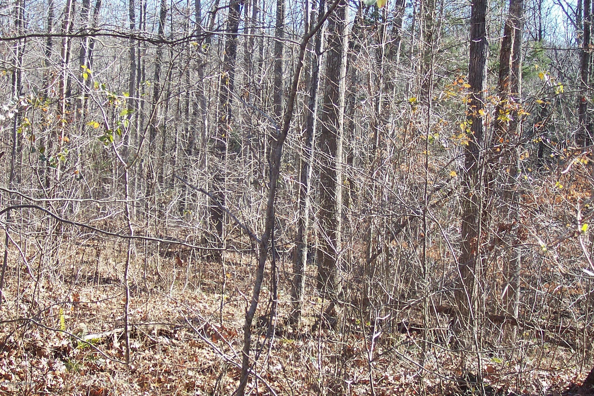 692 Friendship Church Road Magnolia, KY 42757 - Photo 10 of 21 100_7215