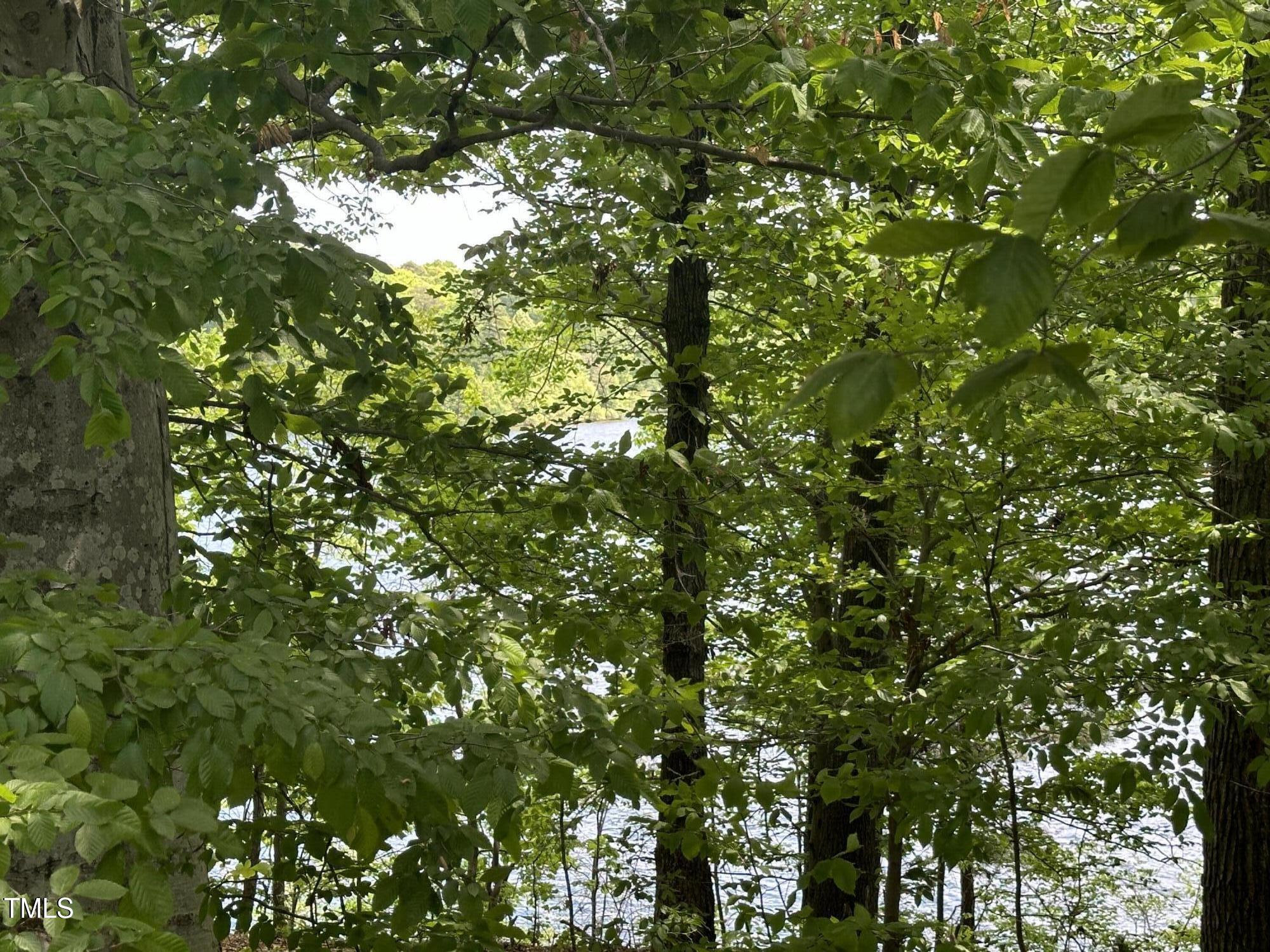 2011 Bowmantown Road Roxboro, NC 27574 - Photo 11 of 11 IMG_5627