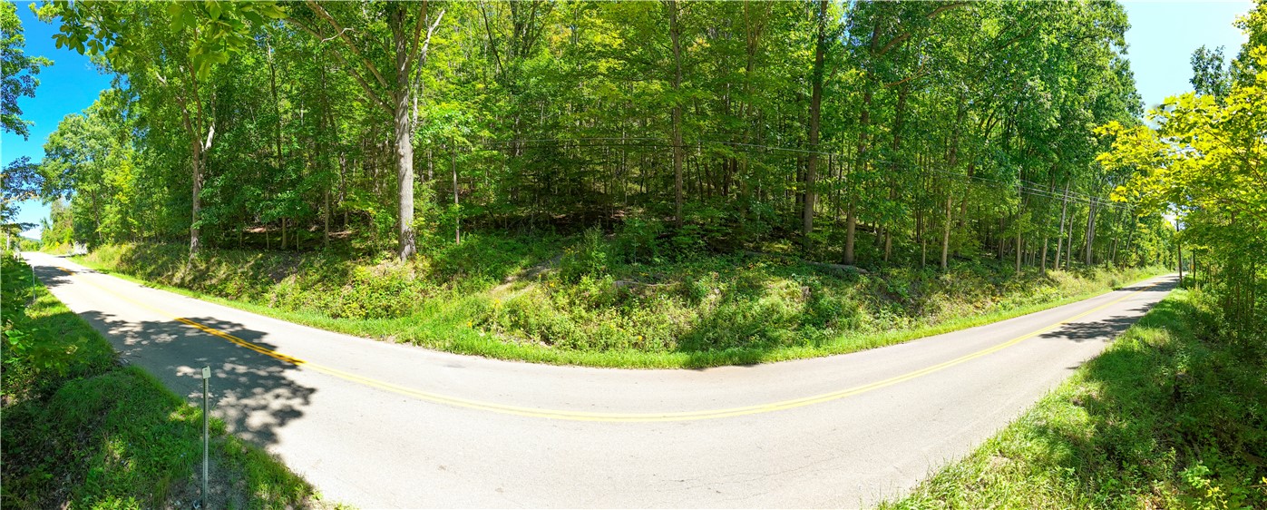 River Road Lindley, NY 14858 - Photo 10 of 21 Gallery Image 10