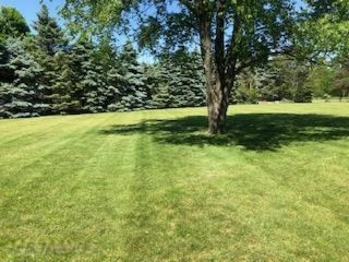 221 South Patterson Road Wayland, MI 49348 - Photo 32 of 61 IMG_3409